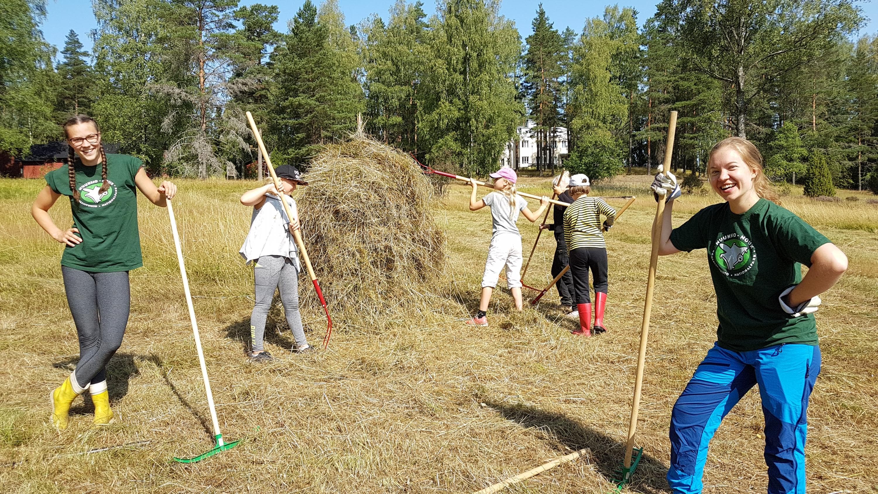 Kuva: Elina Pilke Nuoret laittavat heinää seipäälle aurinkoisena päivänä pellolla.