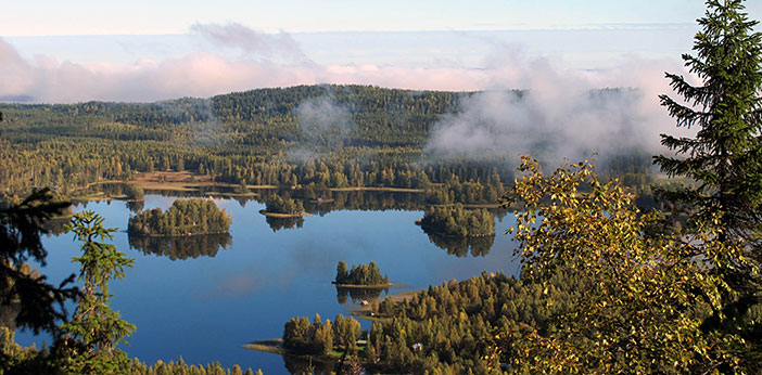 finland, nature, koli