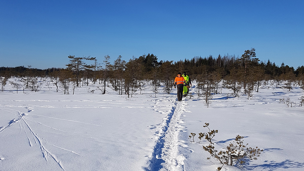 Aurinkoisena talvipäivänä kolme retkeilijää kävelee polkua pitkin lumisessa avomaastossa. Taustalla näkyy metsää.