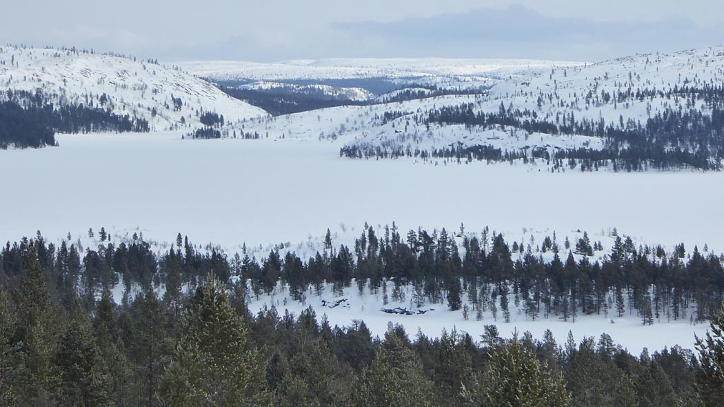 Etualalla mäntyjen latvoja ja alempana lumen peittämä tasainen alue, jäätynyt järvi. Vastarannalla kohoaa useita harva puustoisia vaaroja ja kaukana siintävät lumipeitteiset tunturit.