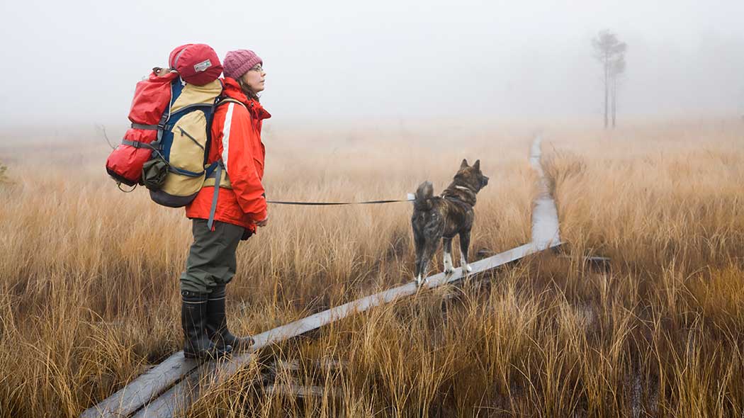 Retkeilijä koiran kanssa pitkospuilla sumuisella suolla. Peuran polku. Kuva: Markus Sirkka.