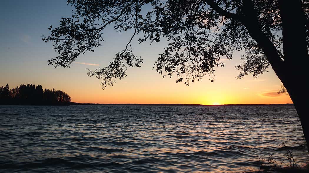 Aurinko laskee järven taakse. Etualalla on lehtipuu.