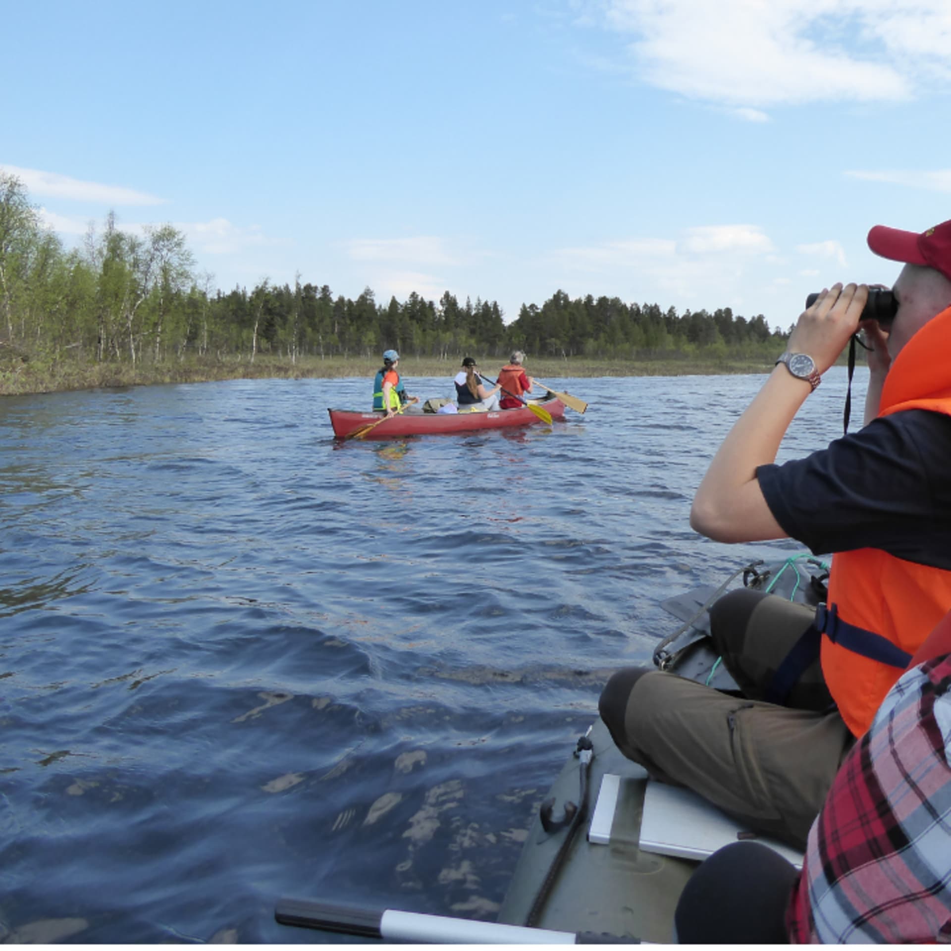 A man is watching birds behind a canoe with three persons.