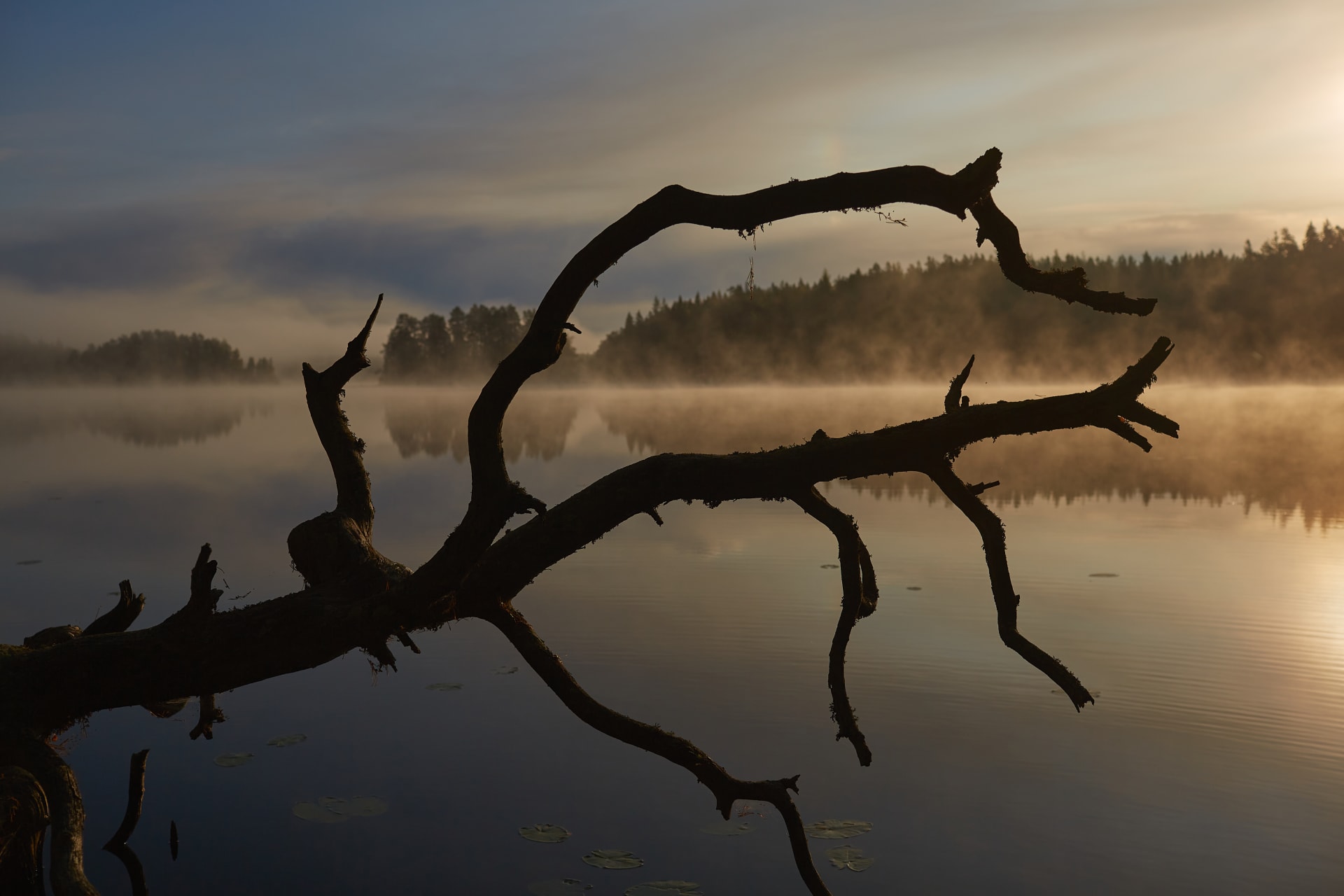 Liesjärvi, Tammela