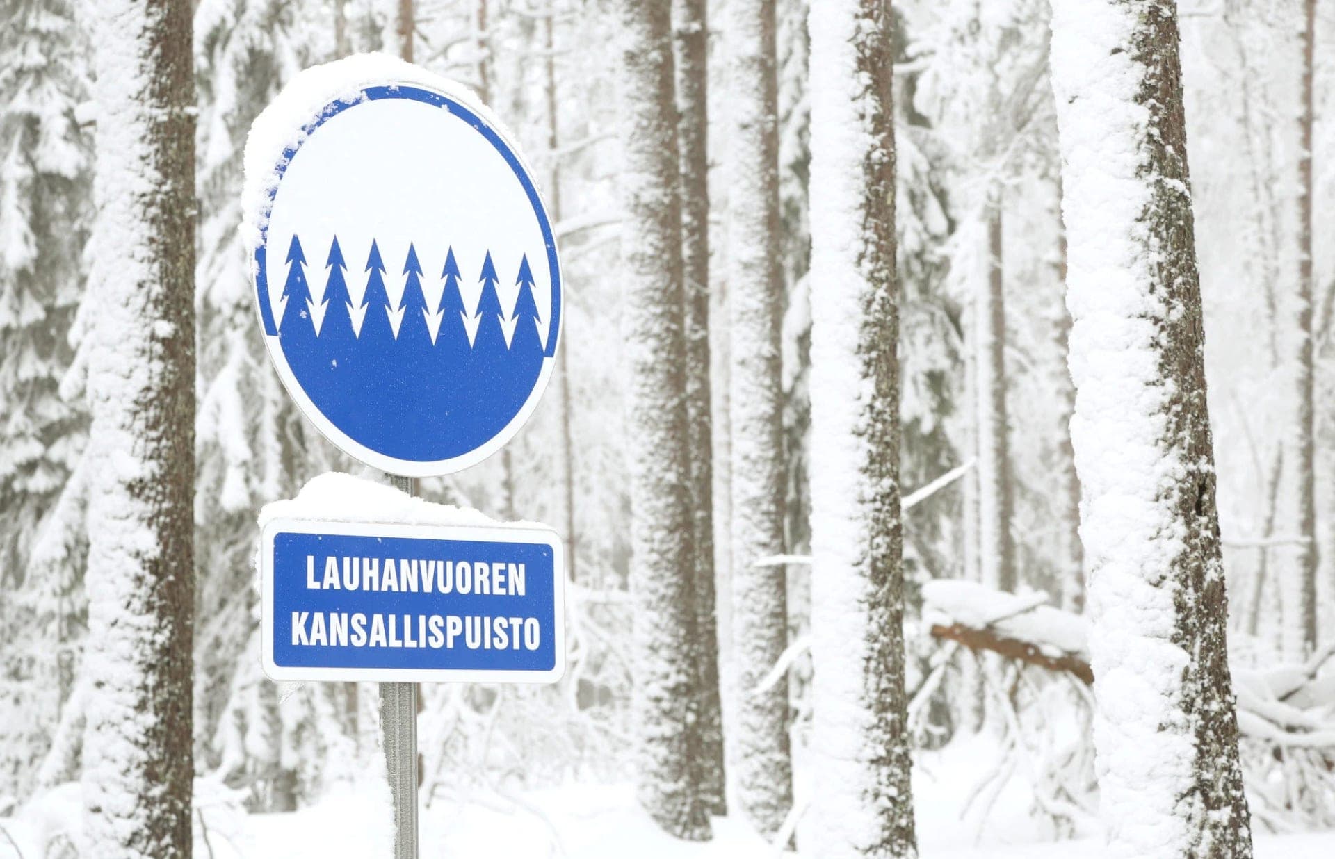 Lauhanvuori is a national park located at Kauhajoki and Isojoki.