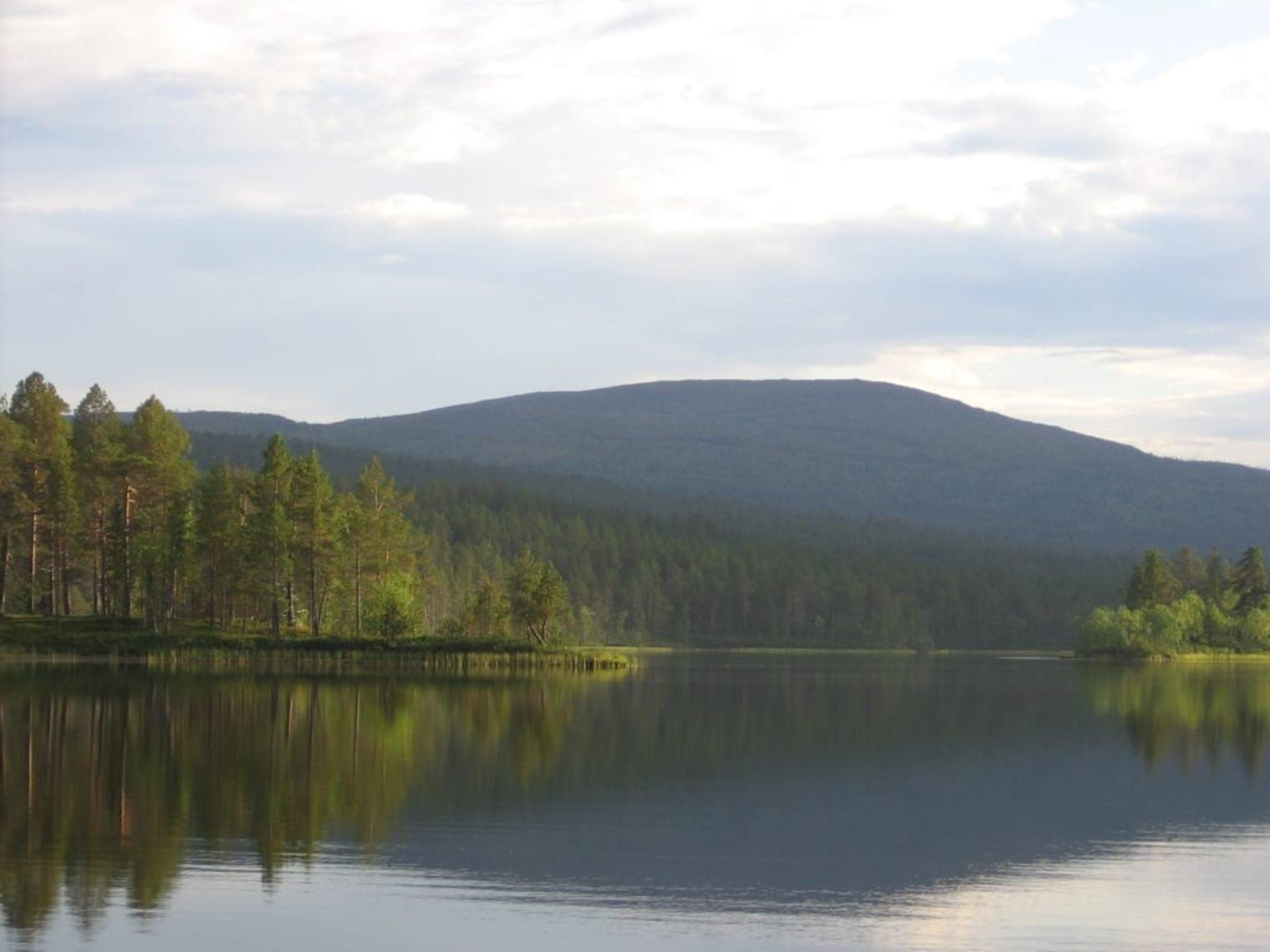 Joenkielinen