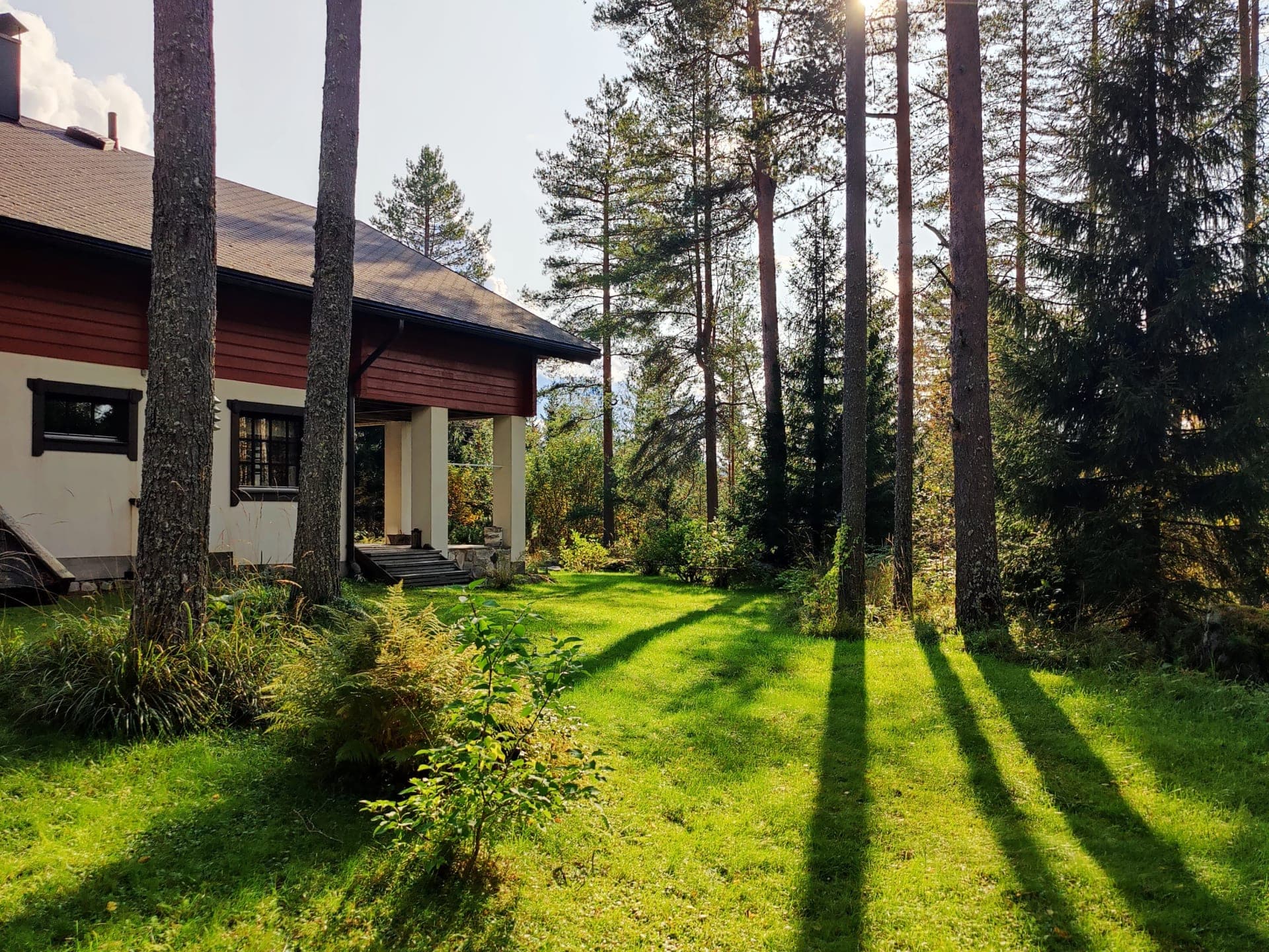 Pine trees shadow the B&B.