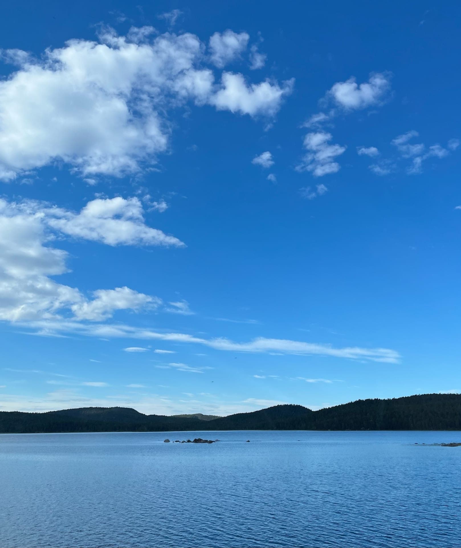 Fishing tours by boat