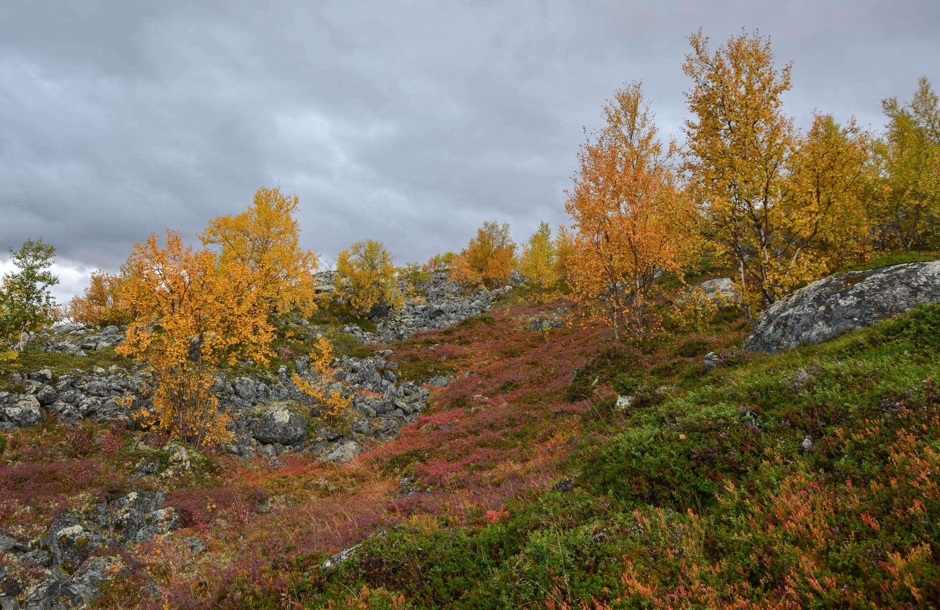 ruska, vetsijoki