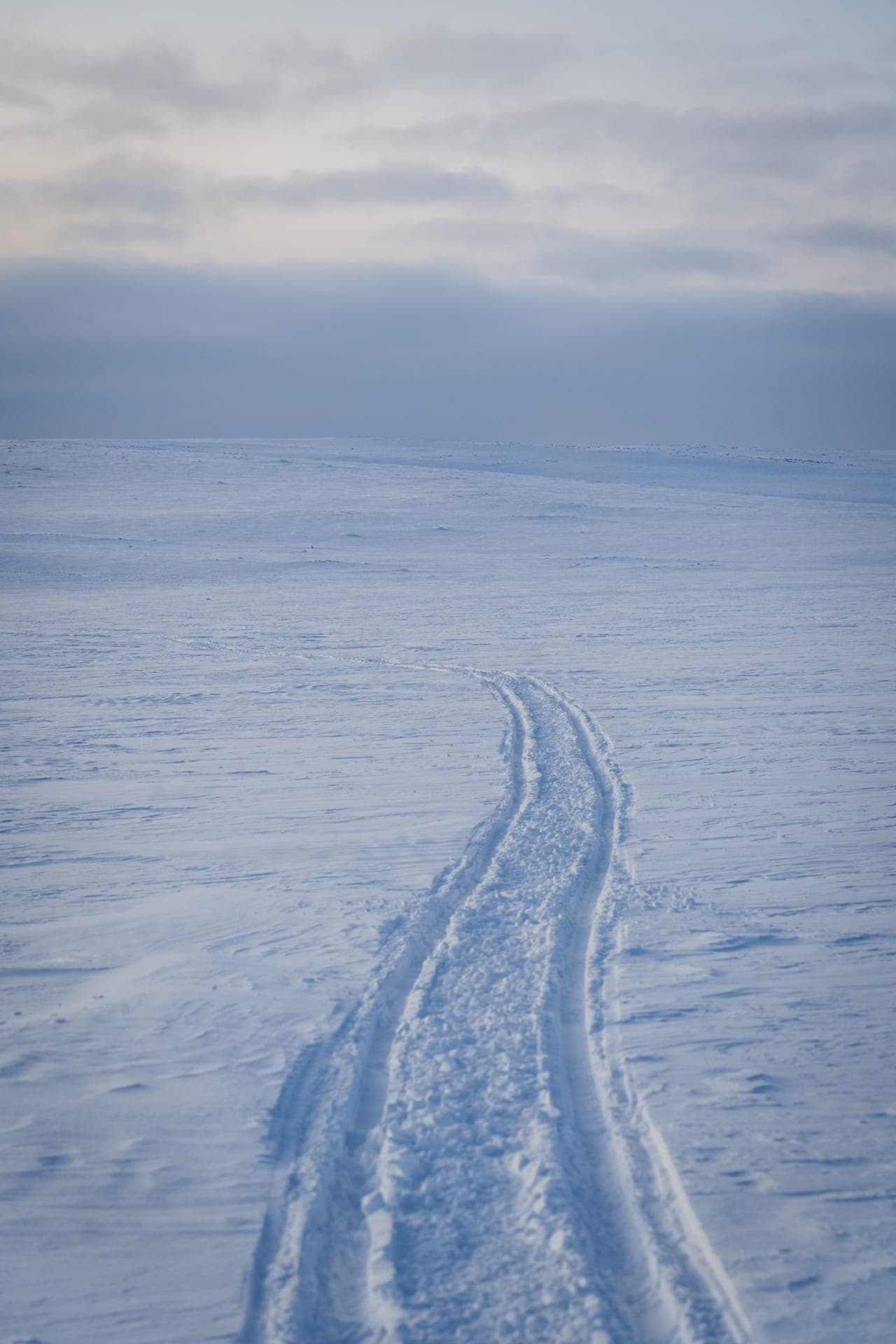 Snowmobile track in Käsivarsi Wilderness