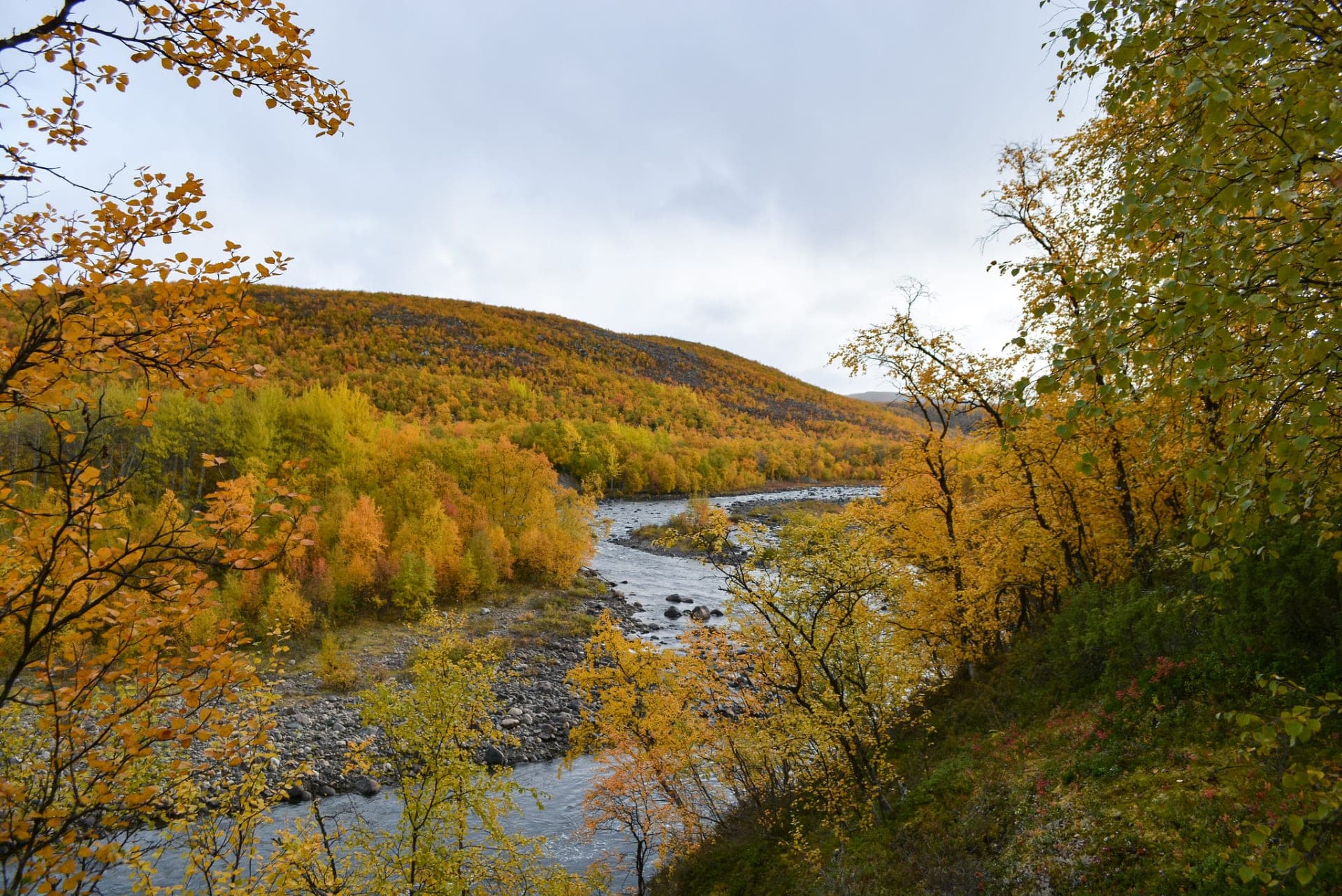 ruska, Vetsijoki