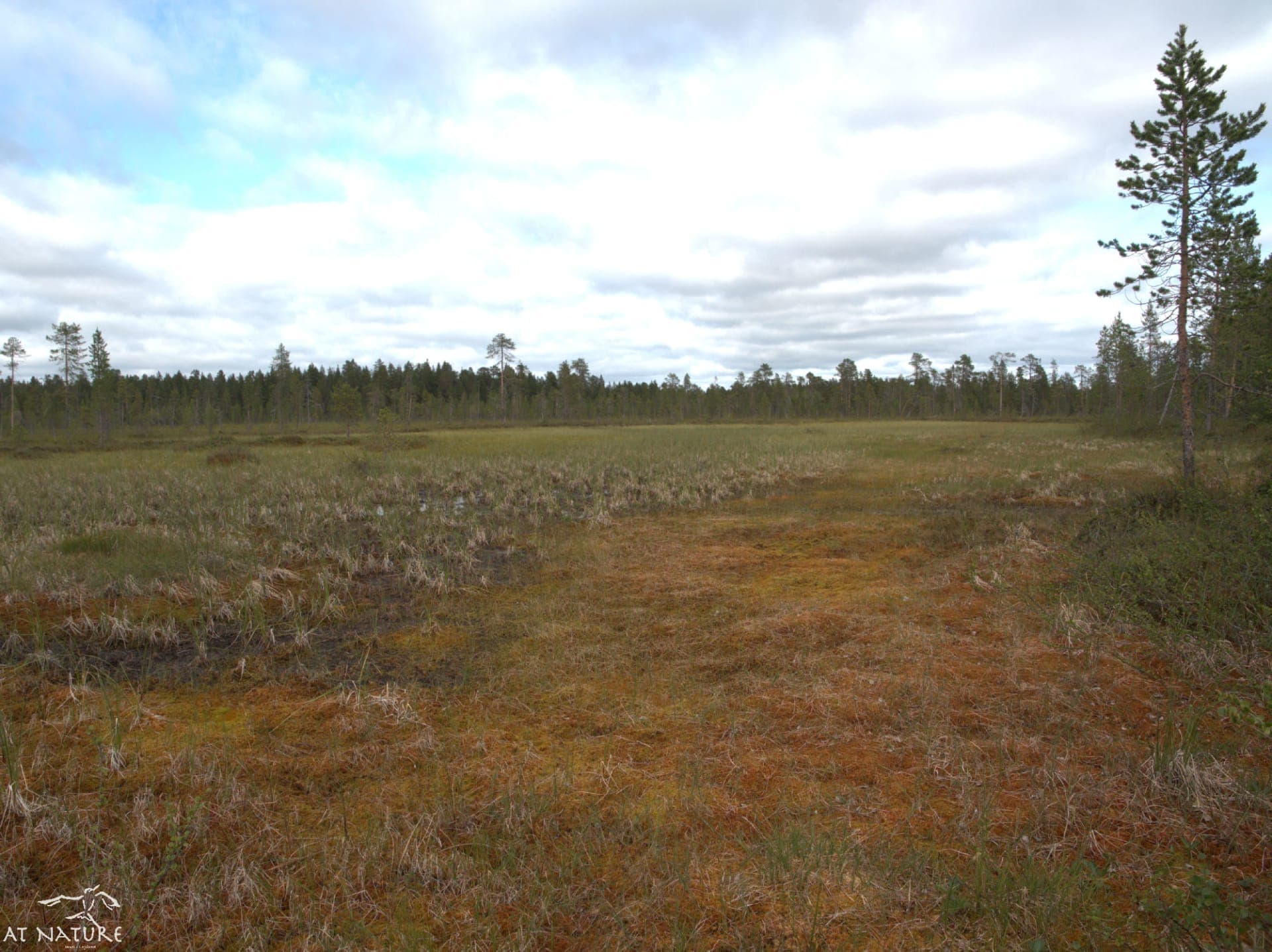 A large mire.