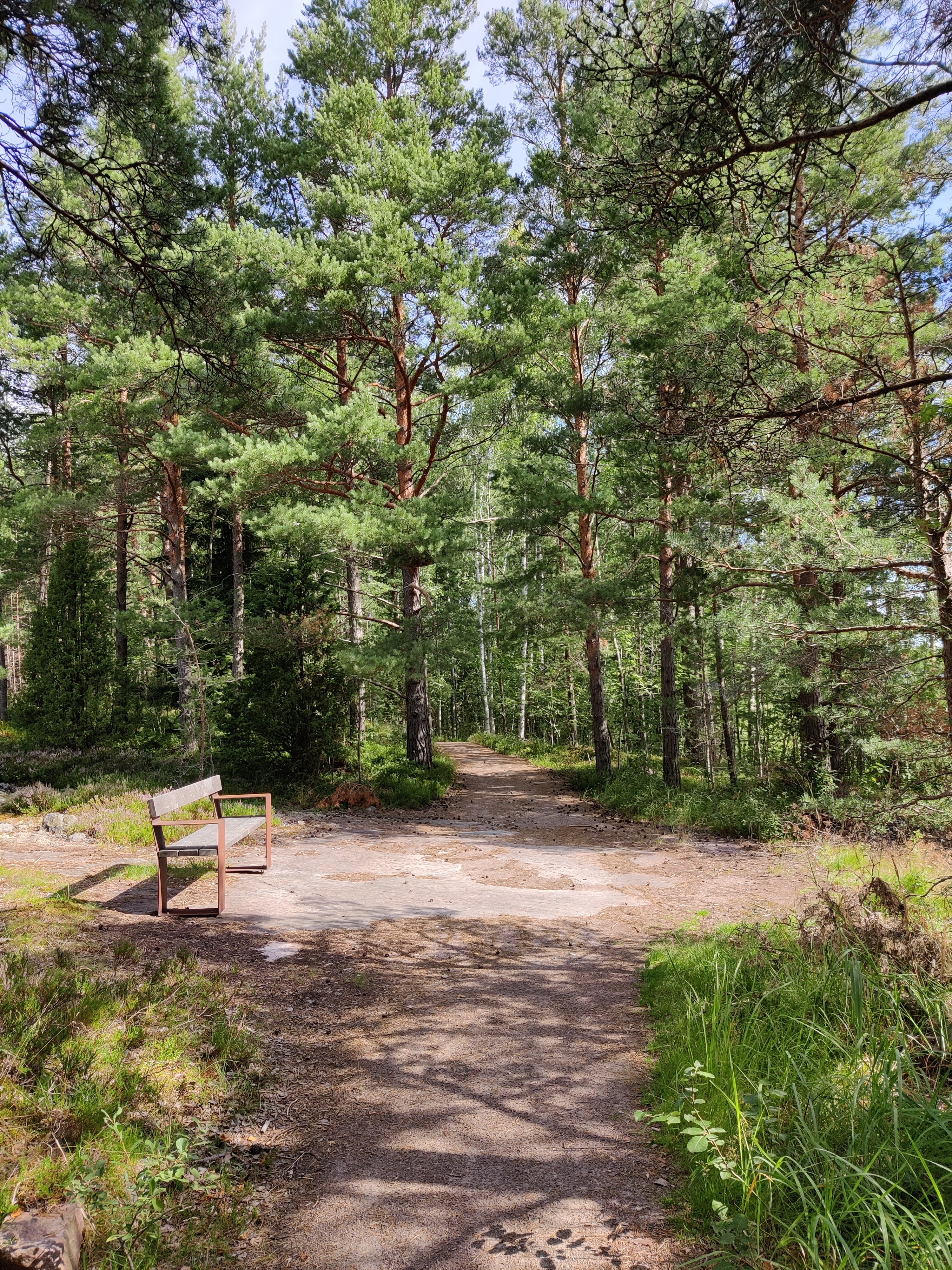 Kivituhkapintaista reittiä ja reitin varrella oleva taukopenkki.