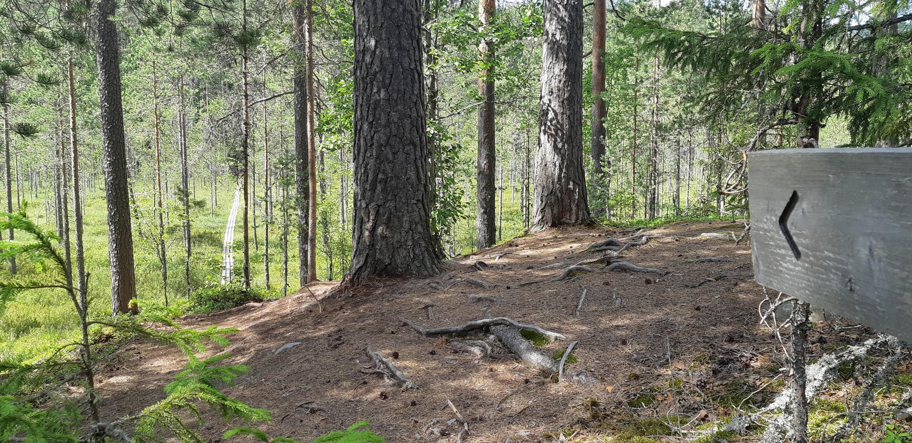 Harjupolku.