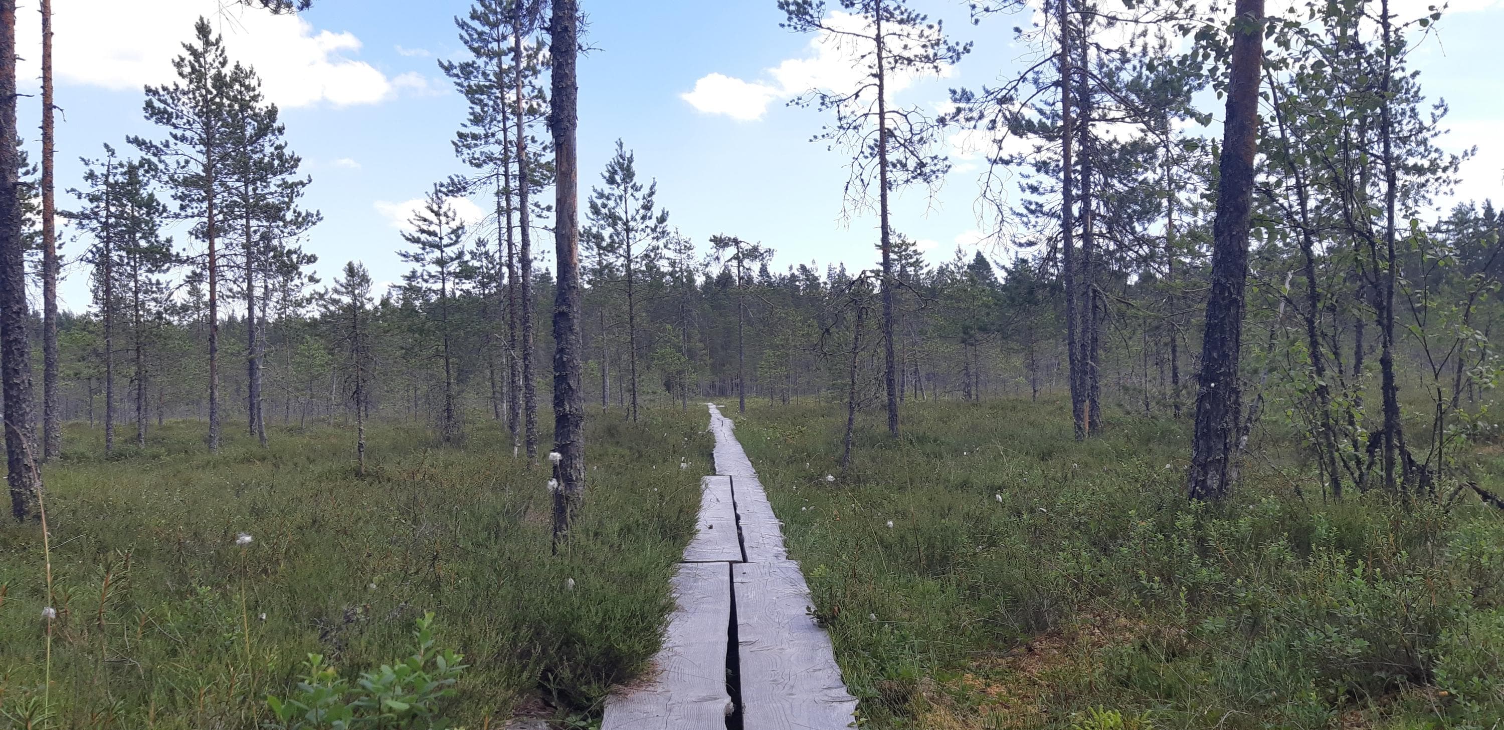 Harjupolku.