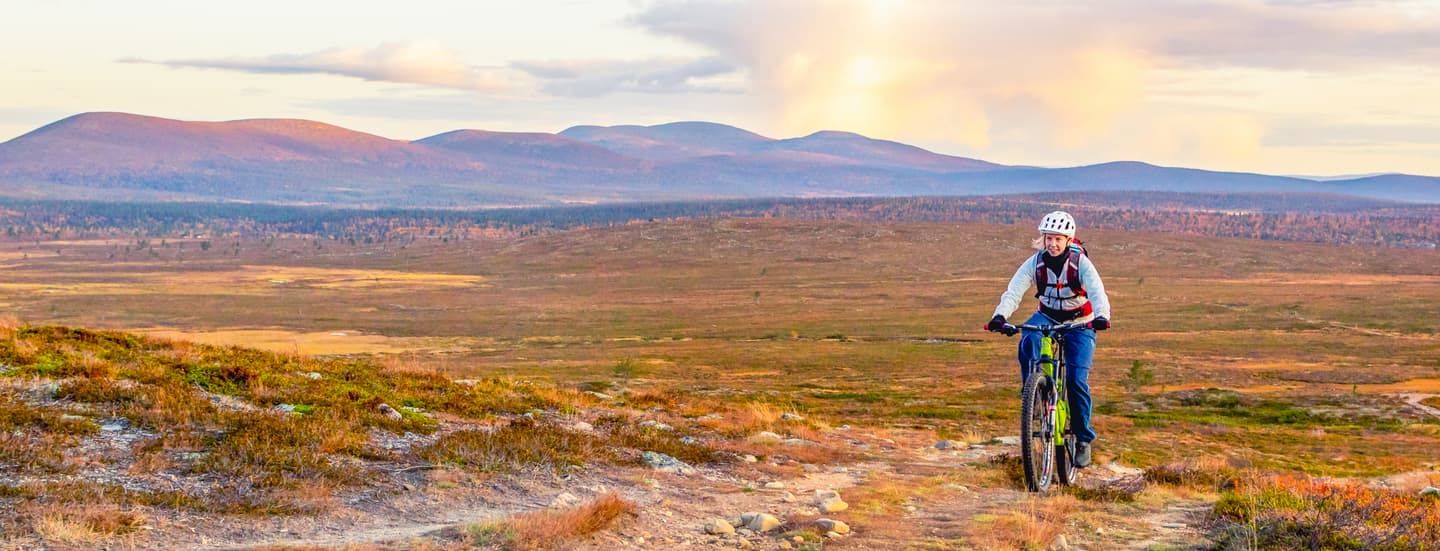 A cyclist is biking in the fell landscape.