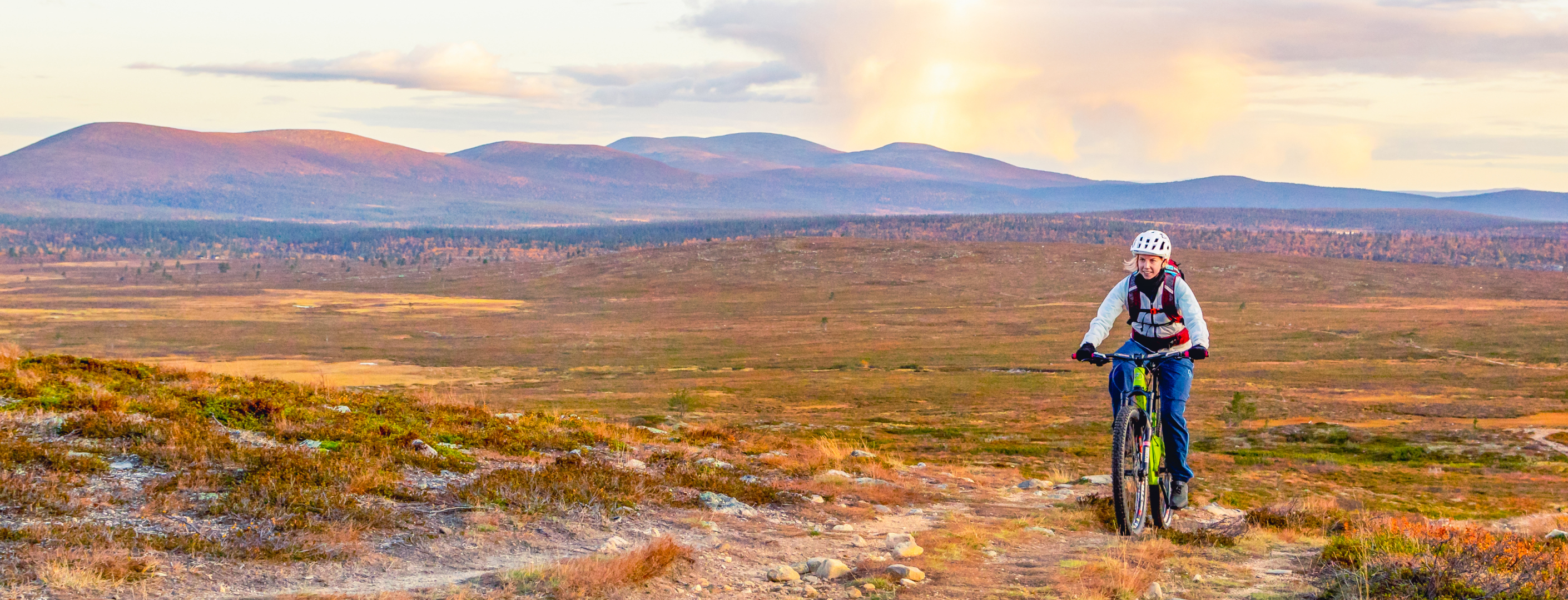 A cyclist is biking in the fell landscape.