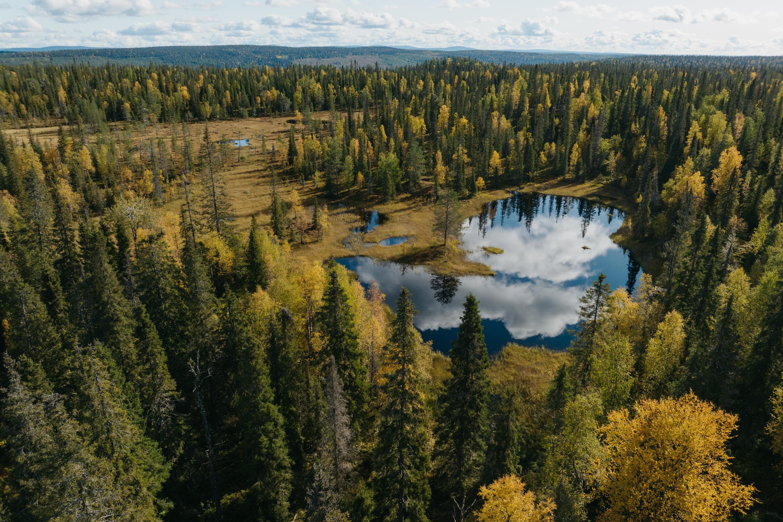 Ilmakuva Sallan kansallispuistossa olevasta suolammesta, jota ympäröivät laajat suot sekä kuusivaltaiset sekametsät.