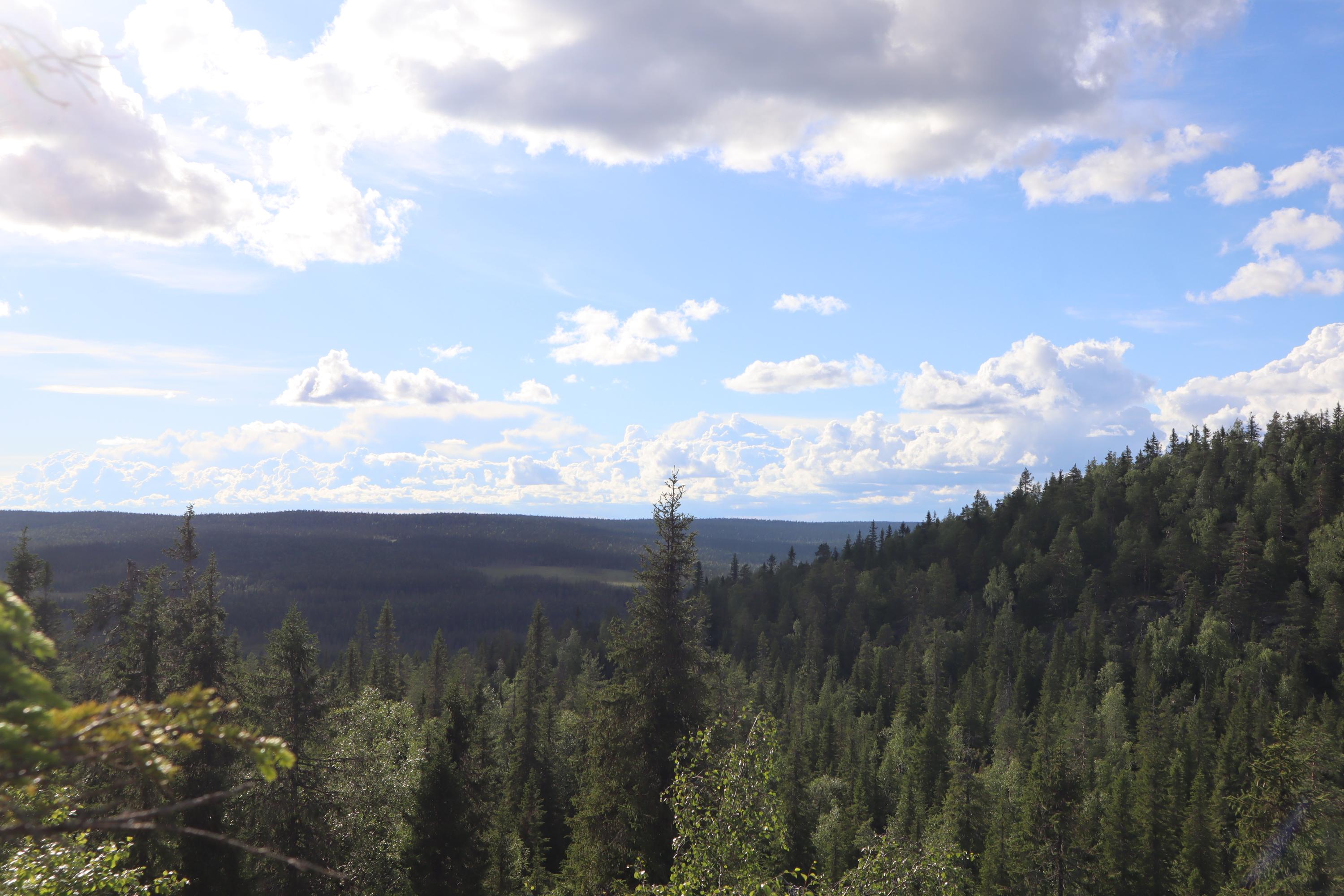 From the top of Teerivaara, magnificent landscapes unfold.