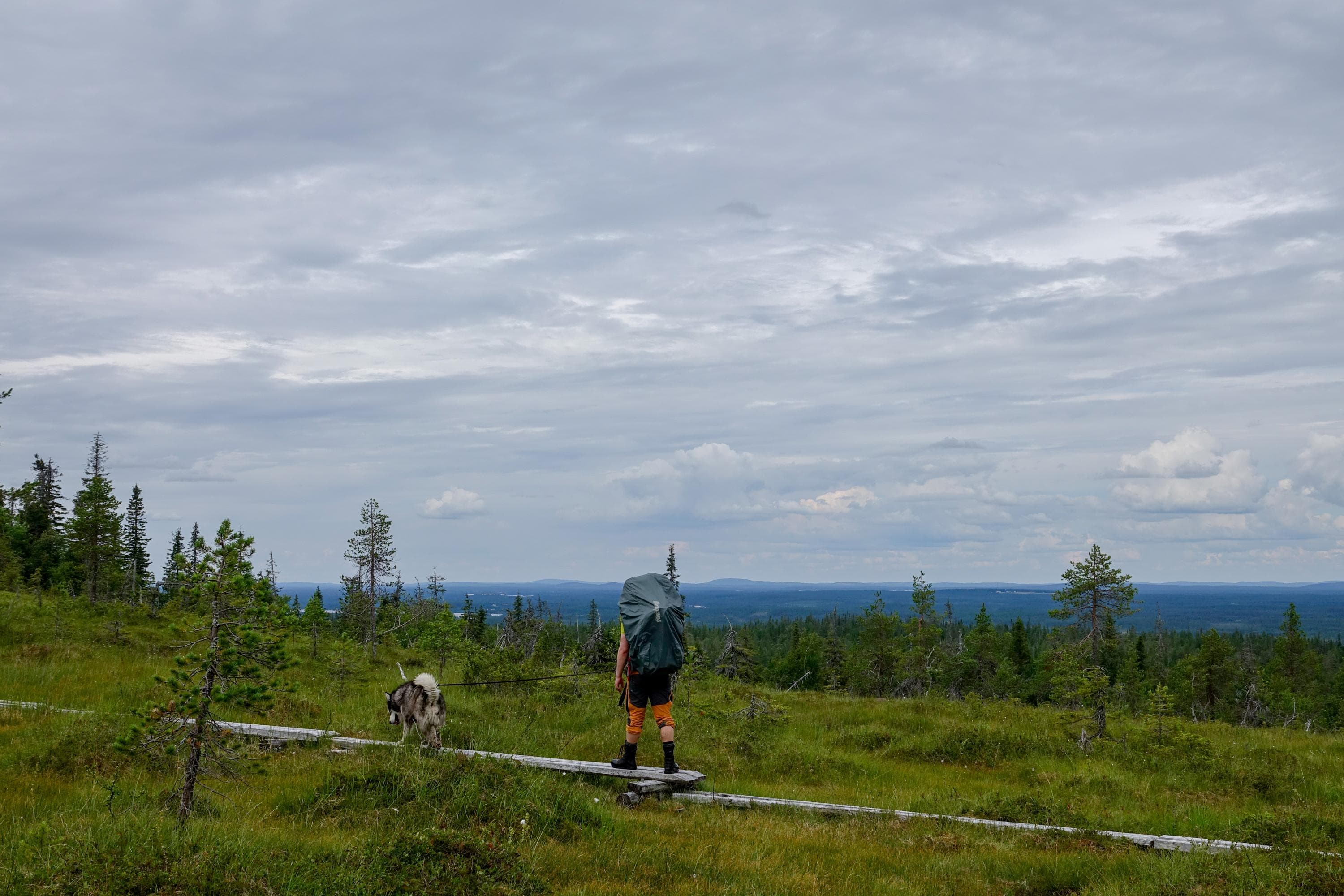 The photo shows a black-and-white dog on a leash and a man carrying a backpack, walking across a boardwalk. Behind them, a stunning ridge landscape is visible.