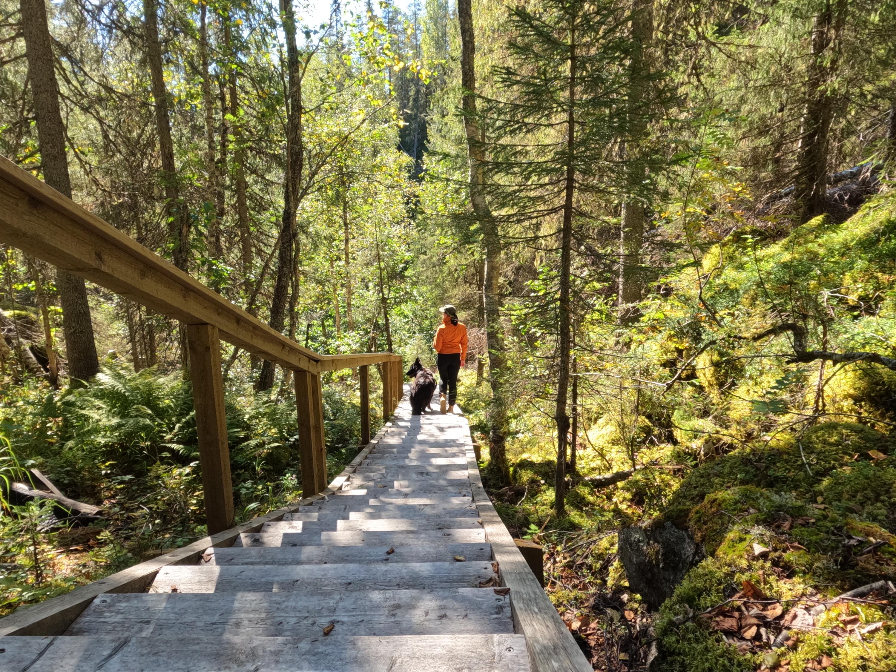 The stairs next to the lean-to at Vattukuru are long but relatively easy to walk. In the autumn, the stairs can be slippery after night frosts.