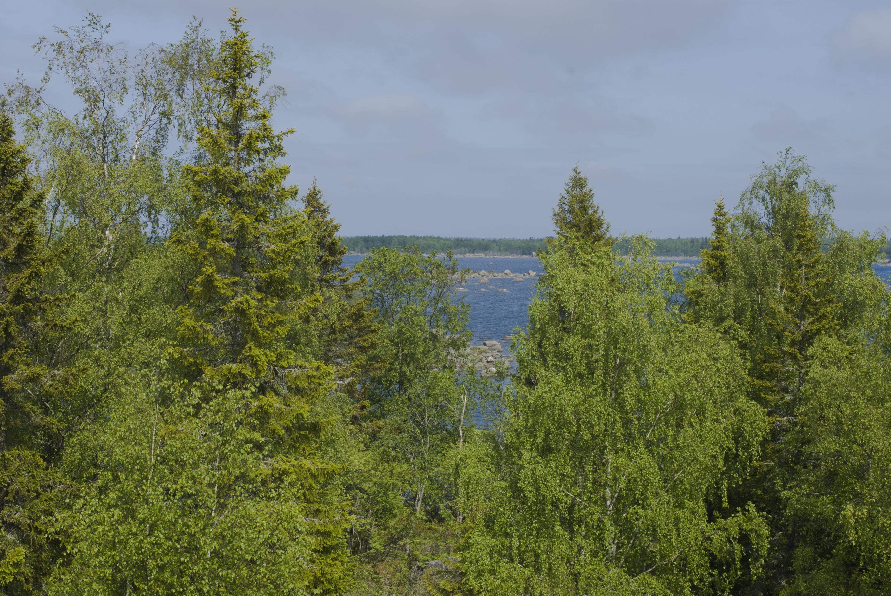 The Kvarken Archipelago World Heritage Site. Scenery from the Kikanberget nature trail.