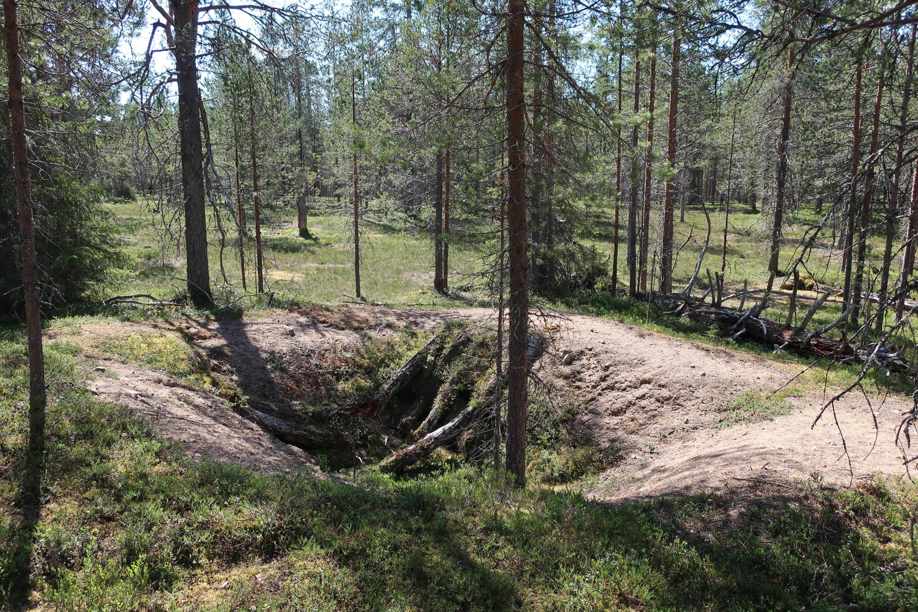 Kuvassa kesäinen, harva mäntykangas, jonka keskellä hiekkareunainen kuoppa, vanhan korsun jäänteet.