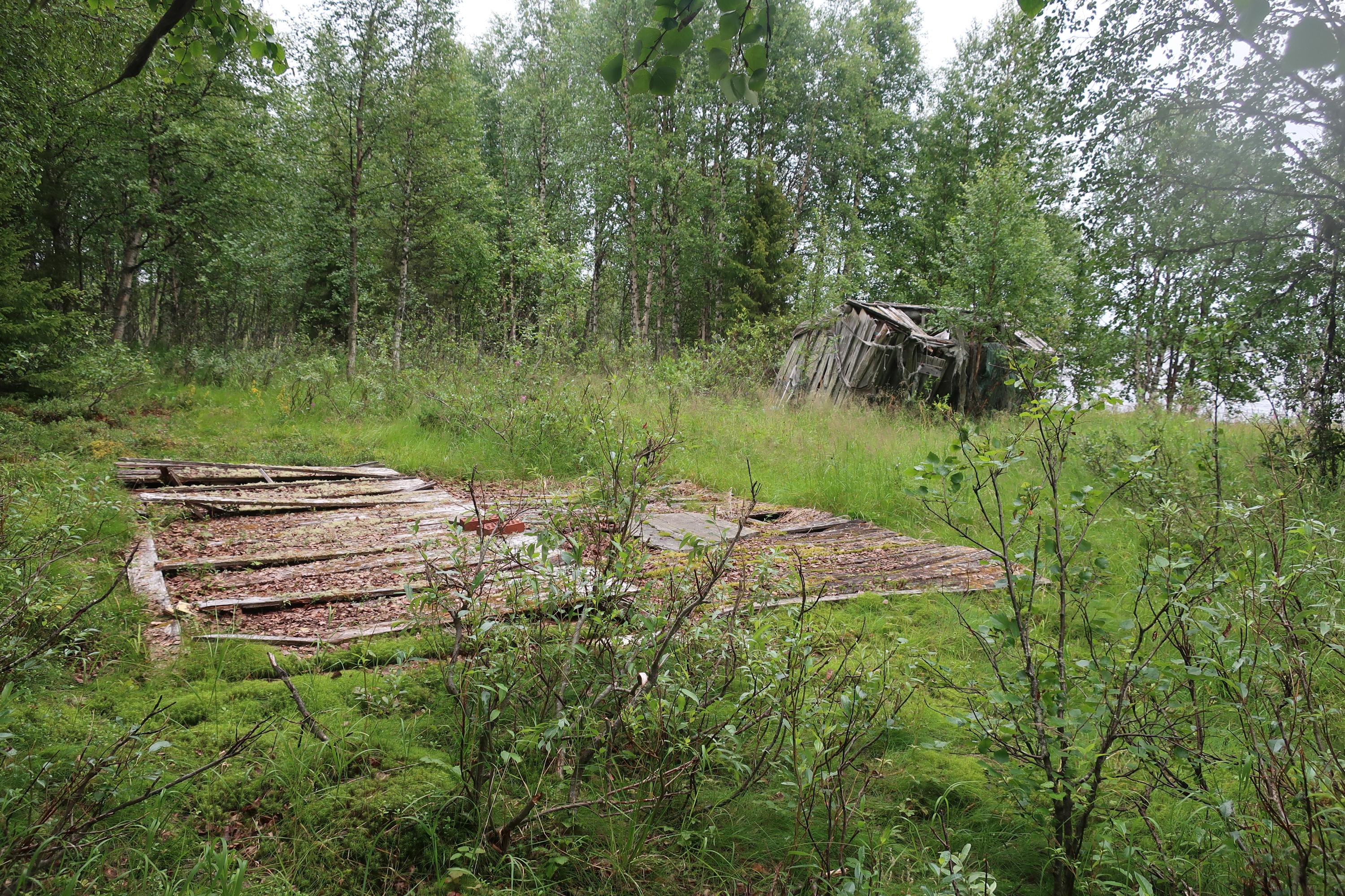 Vanha, osin lahonnut ja maatunut kalakenttä sekä vaja heinikon ja matalan pensaskasvillisuuden keskellä. Ympärillä kasvaa koivumetsää.