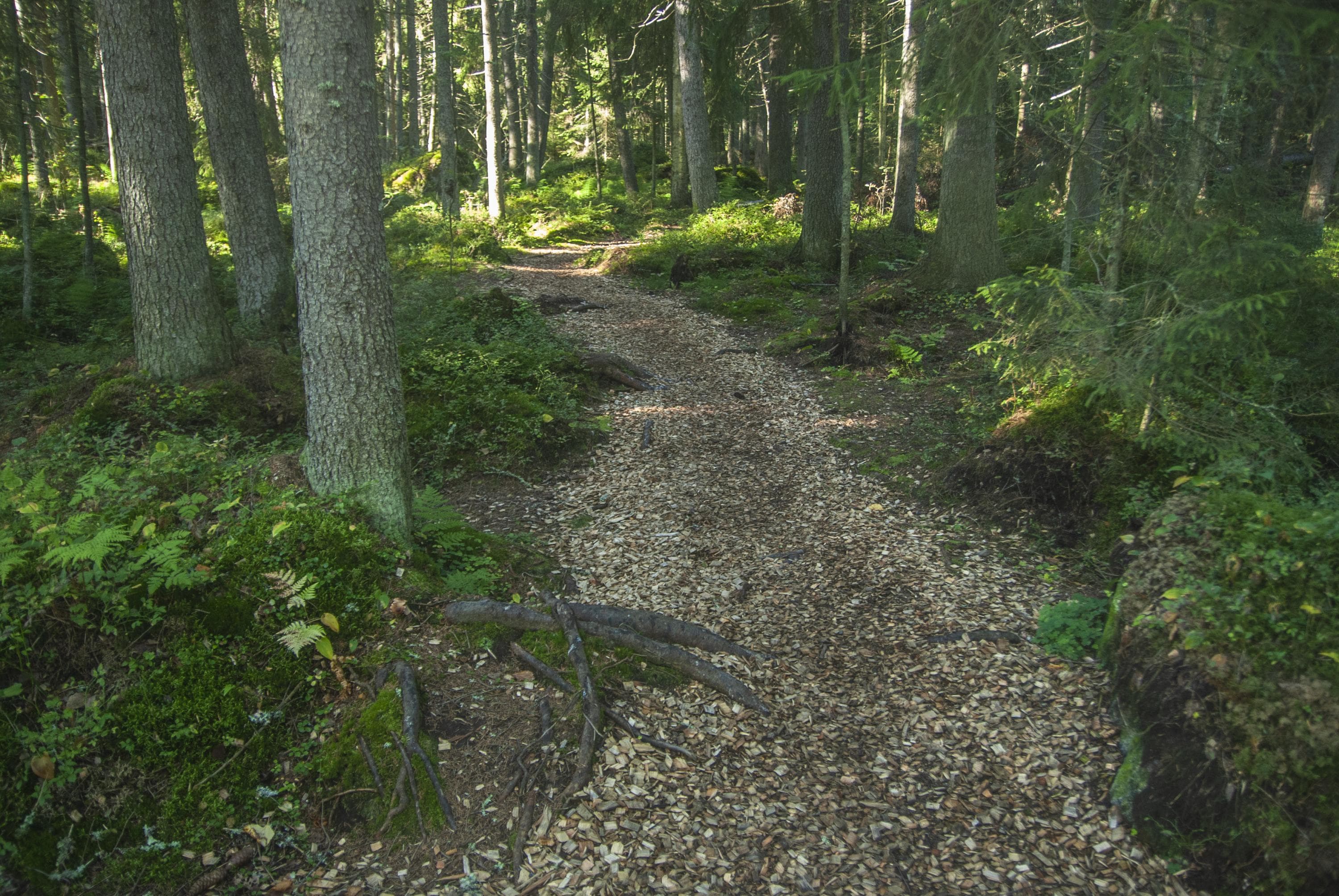 Kvarken Archipelago World Heritage Site. Öjen Nature Trail.