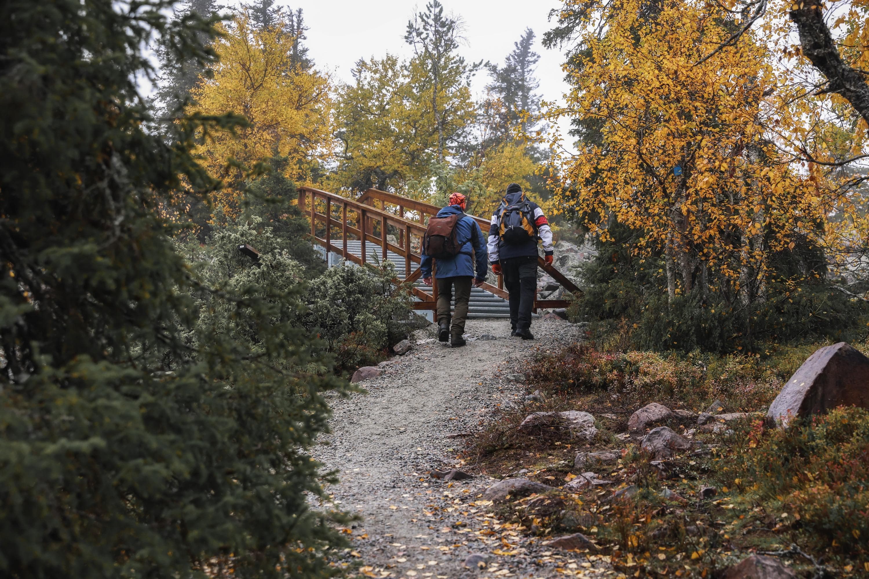 De brantaste avsnitten av Taivaan tavoittelijan taival leden till toppen av Iso Pyhätunturi bestigs via trappor.