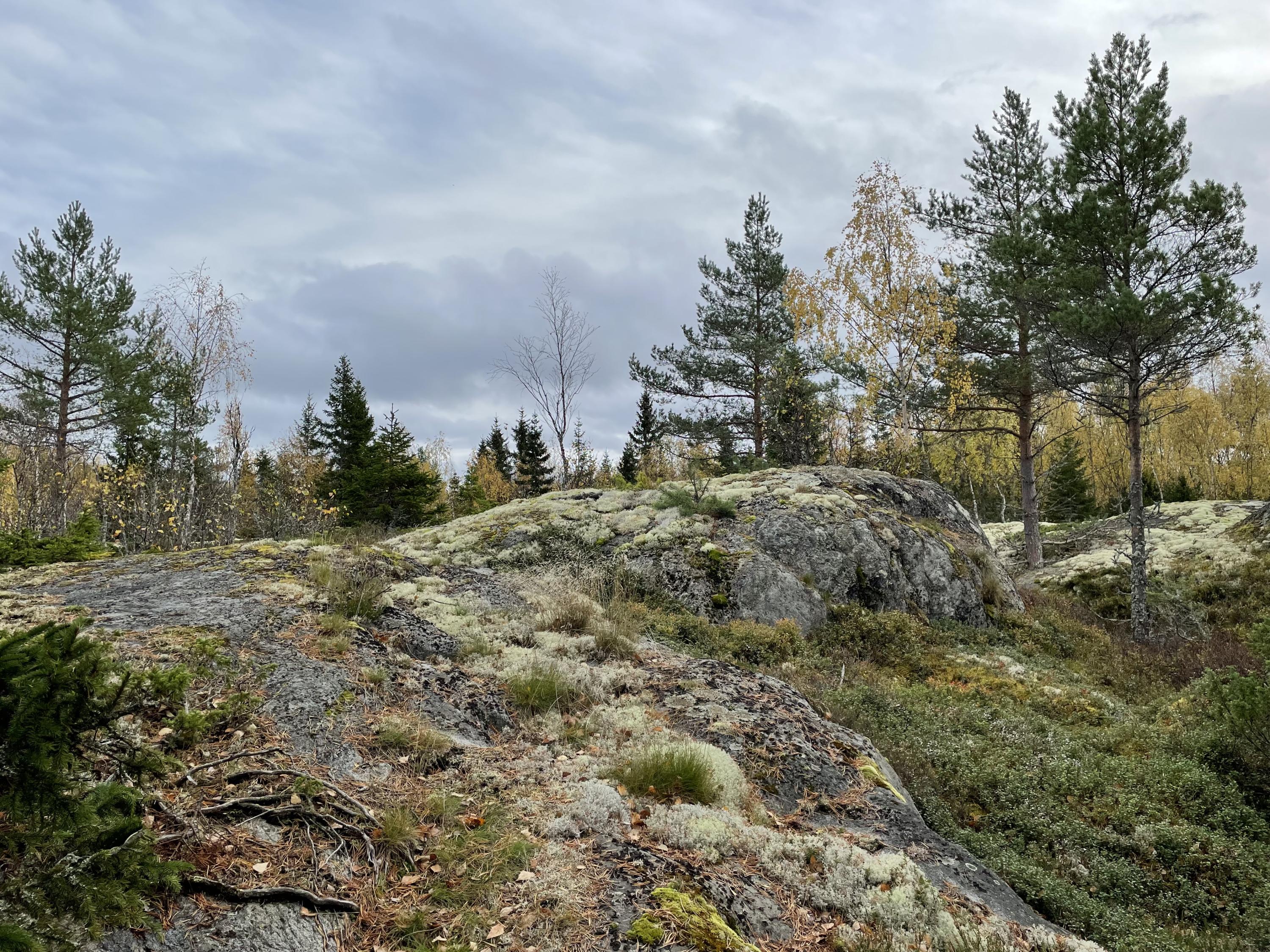 Kvarken Archipelago World Heritage Site. On the rock.