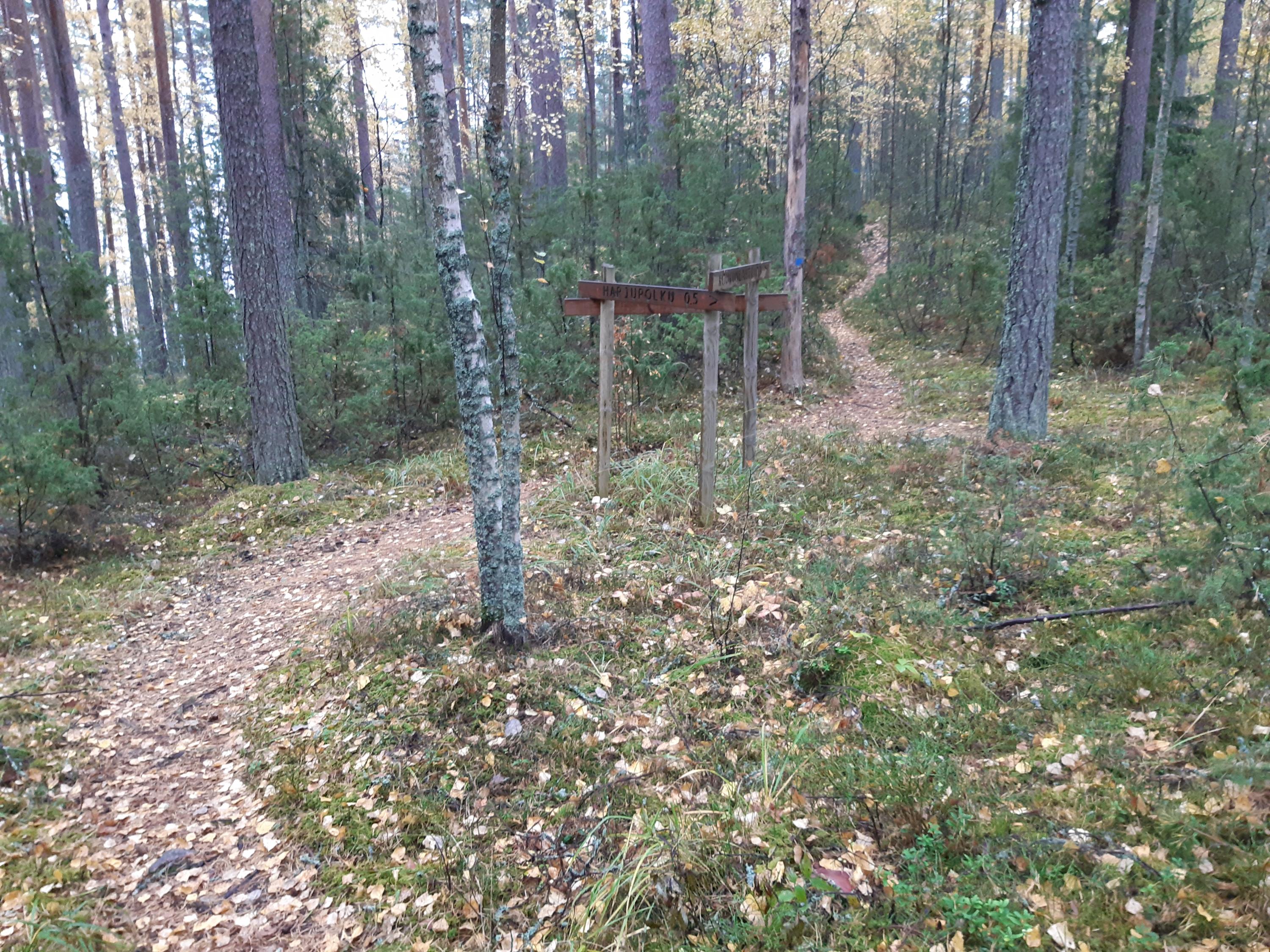 Päijänne National Park. Kelvenne Trail. 