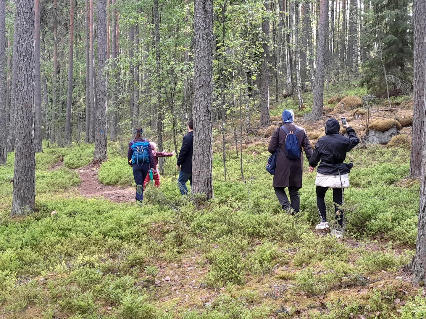 Vandringsled genom Pulkkilanharjus &aring;slandskap vid P&auml;ij&auml;nne