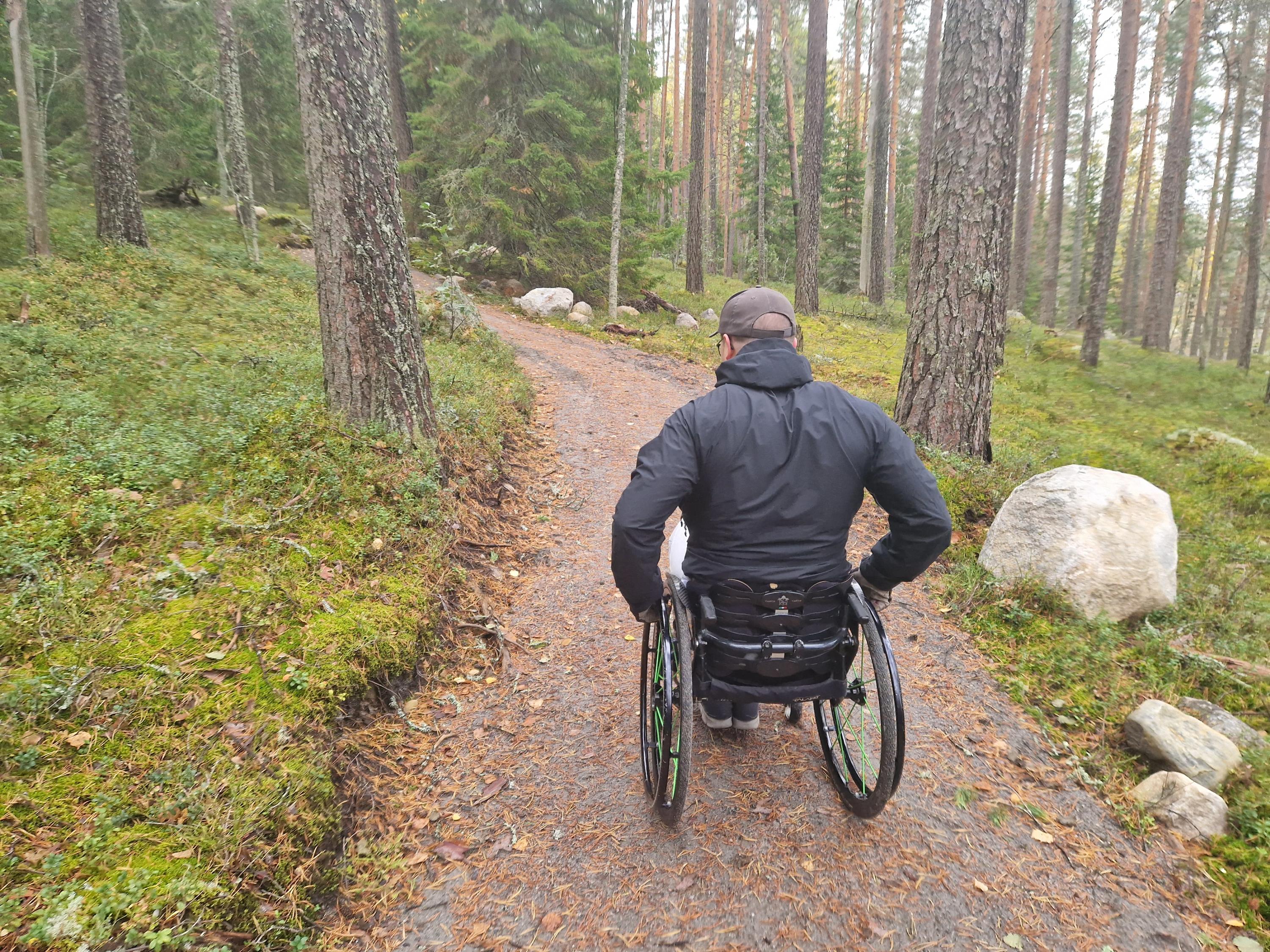 Koloveden kansallispuisto. Hirviniemen esteetön reitti.