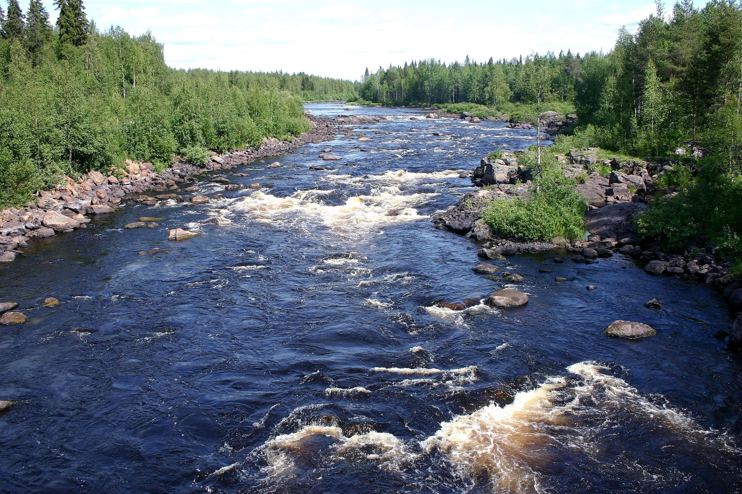 Kivikkoinen ja koskinen joki virtaa vuolaana kuvan keskiosan halki. Joen reunoilla on kivikkoista rantaa sekä vihreää puustoa.