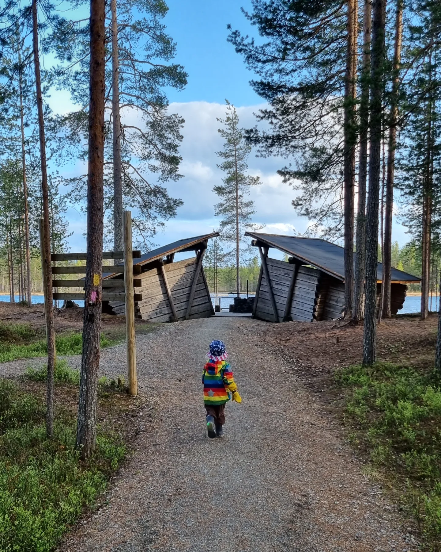 Kuvassa on kaksiosainen laavu, jota kohti kävelee pieni lapsi päällään kirjava takki.