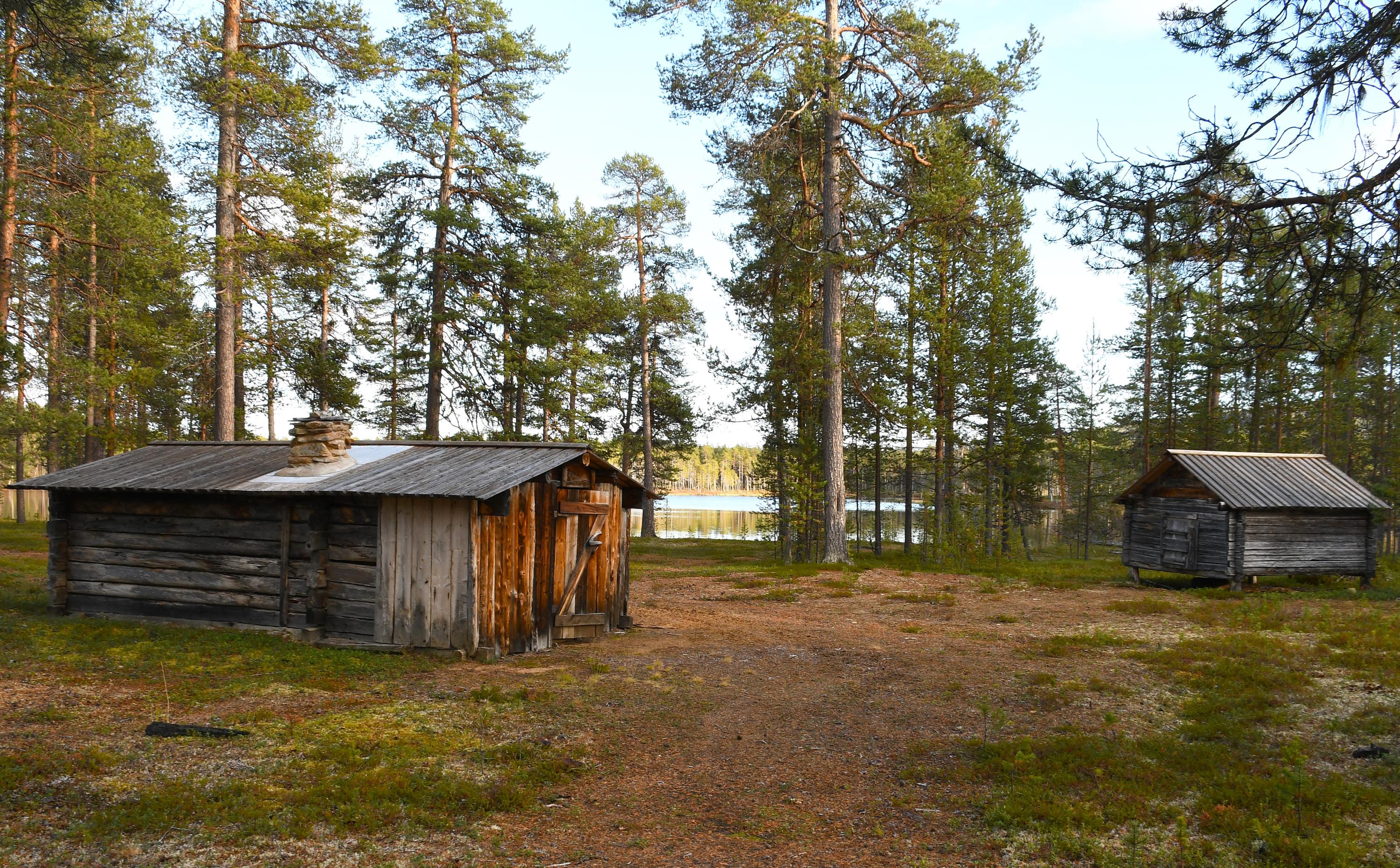 Harmahtava tupa ja piharakennus metsän keskellä, järven rannalla.