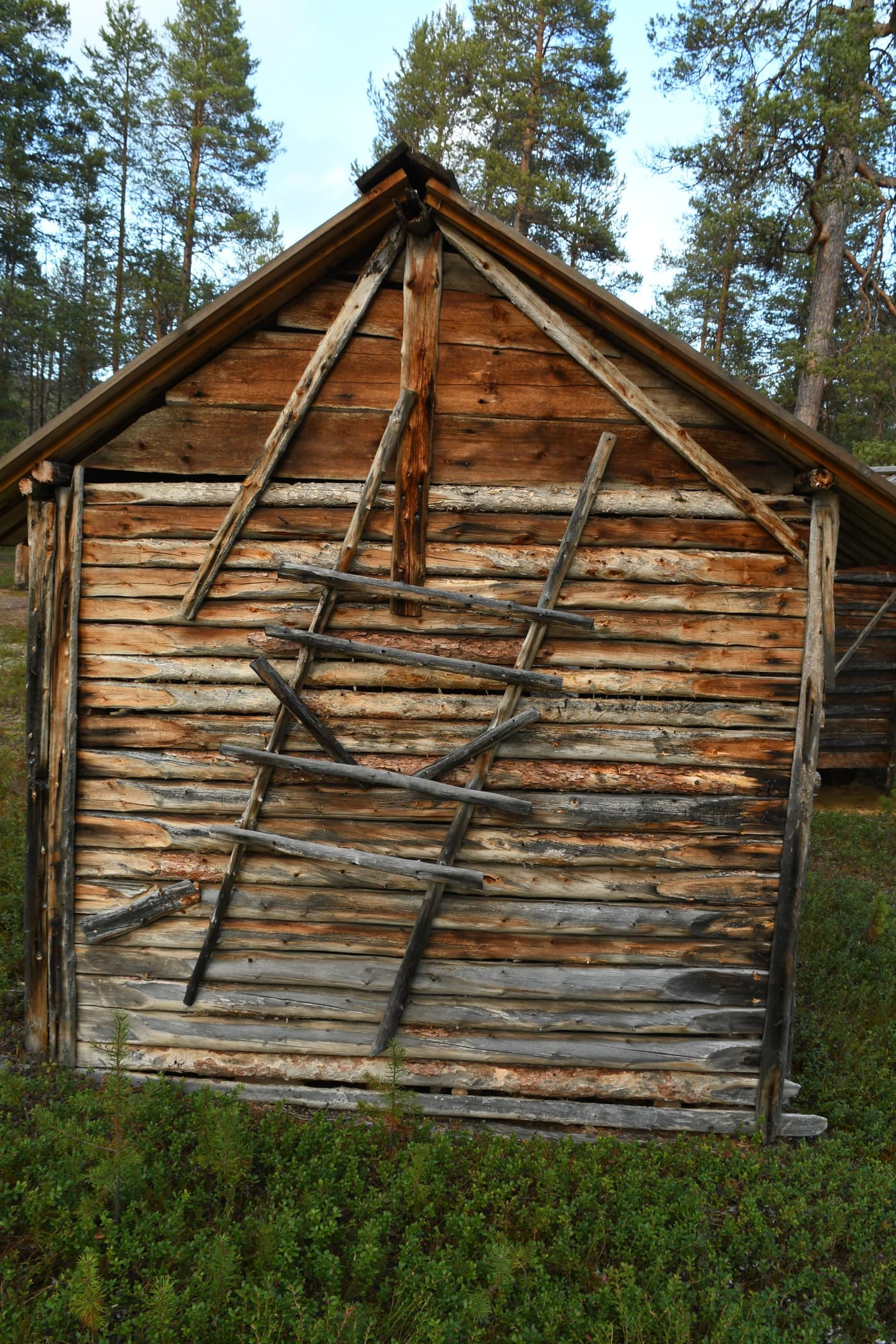 A wooden yard building with lightweight ladders against its wall.