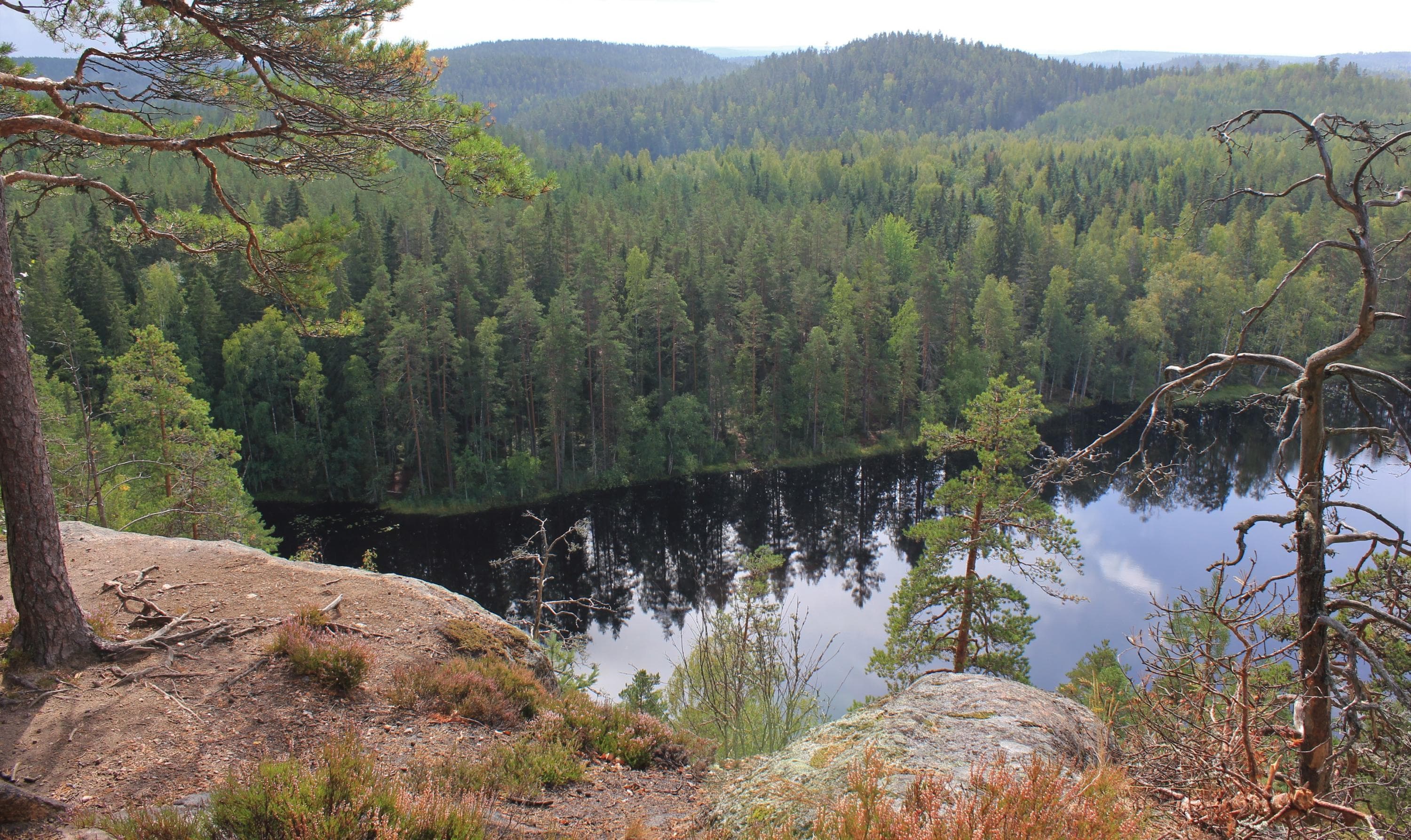 The Korpinkierros trail culminates at Olhavanvuori, offering magnificent views over Olhavanlampi.