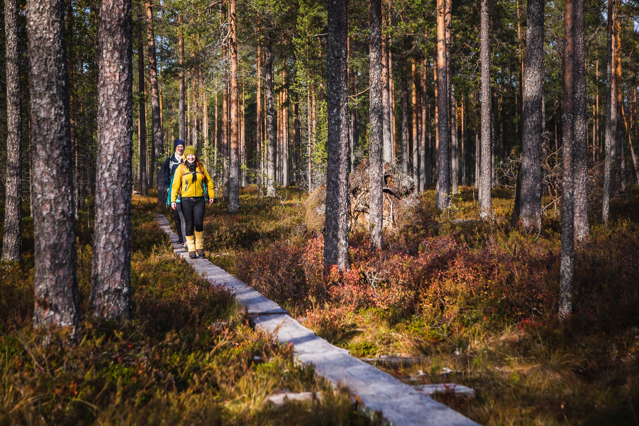 Patvinkierto kulkee suuren osan matkasta suolla, joten pitkospuuosuuksia on runsaasti. 