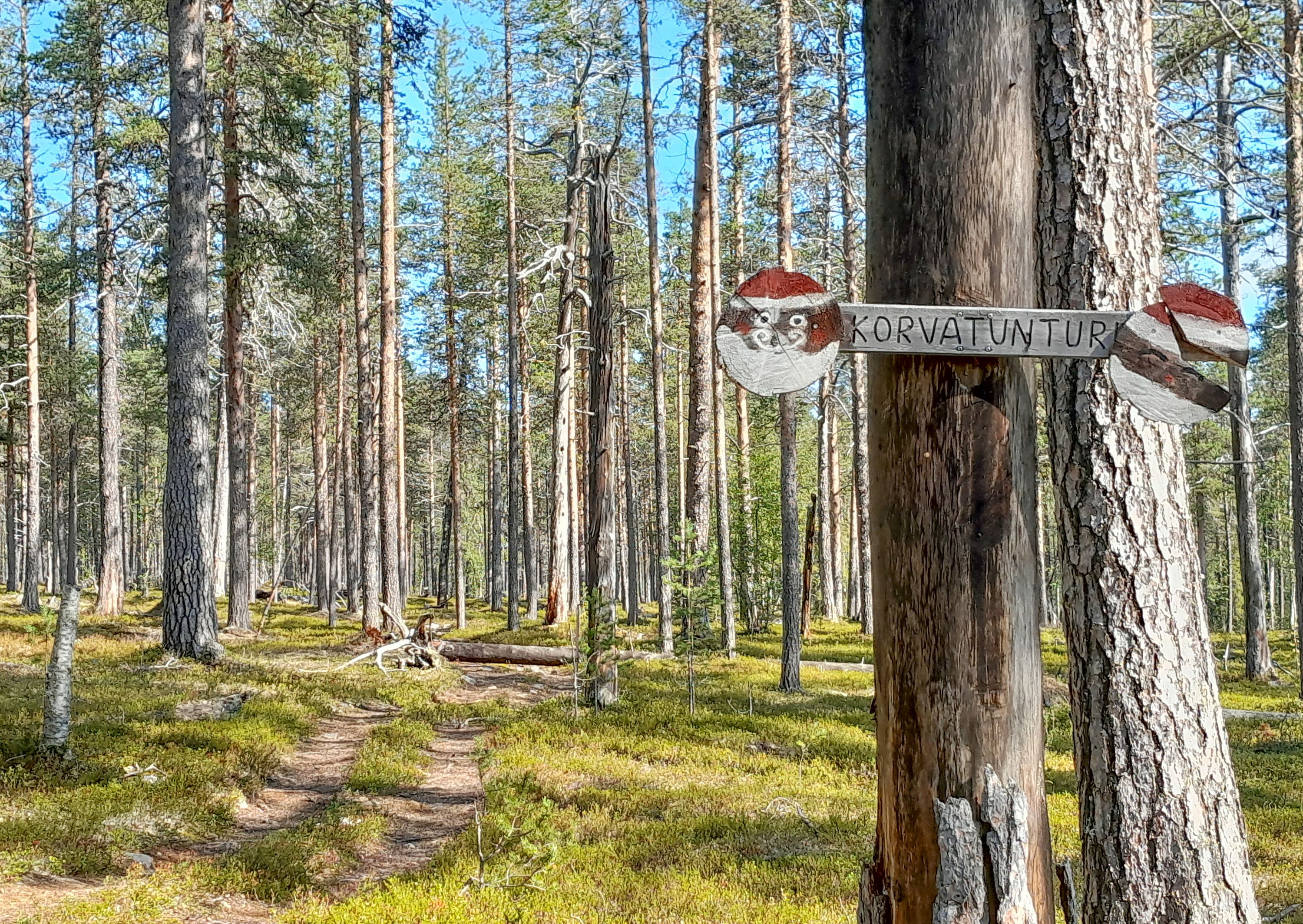 Trail marker for the Korvatunturi trail.