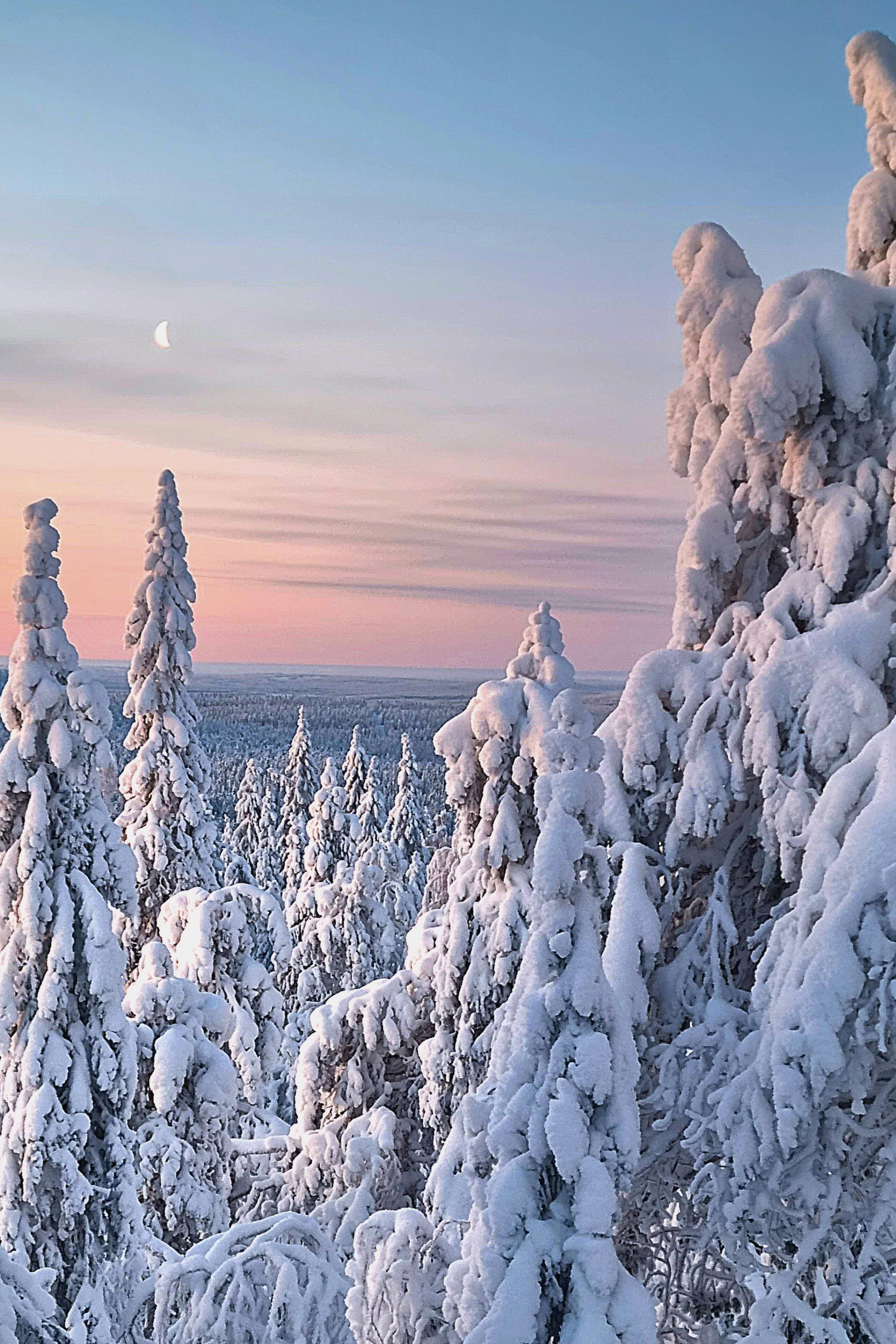 The Teerivaara Loop offers stunning snow-covered landscapes in winter.