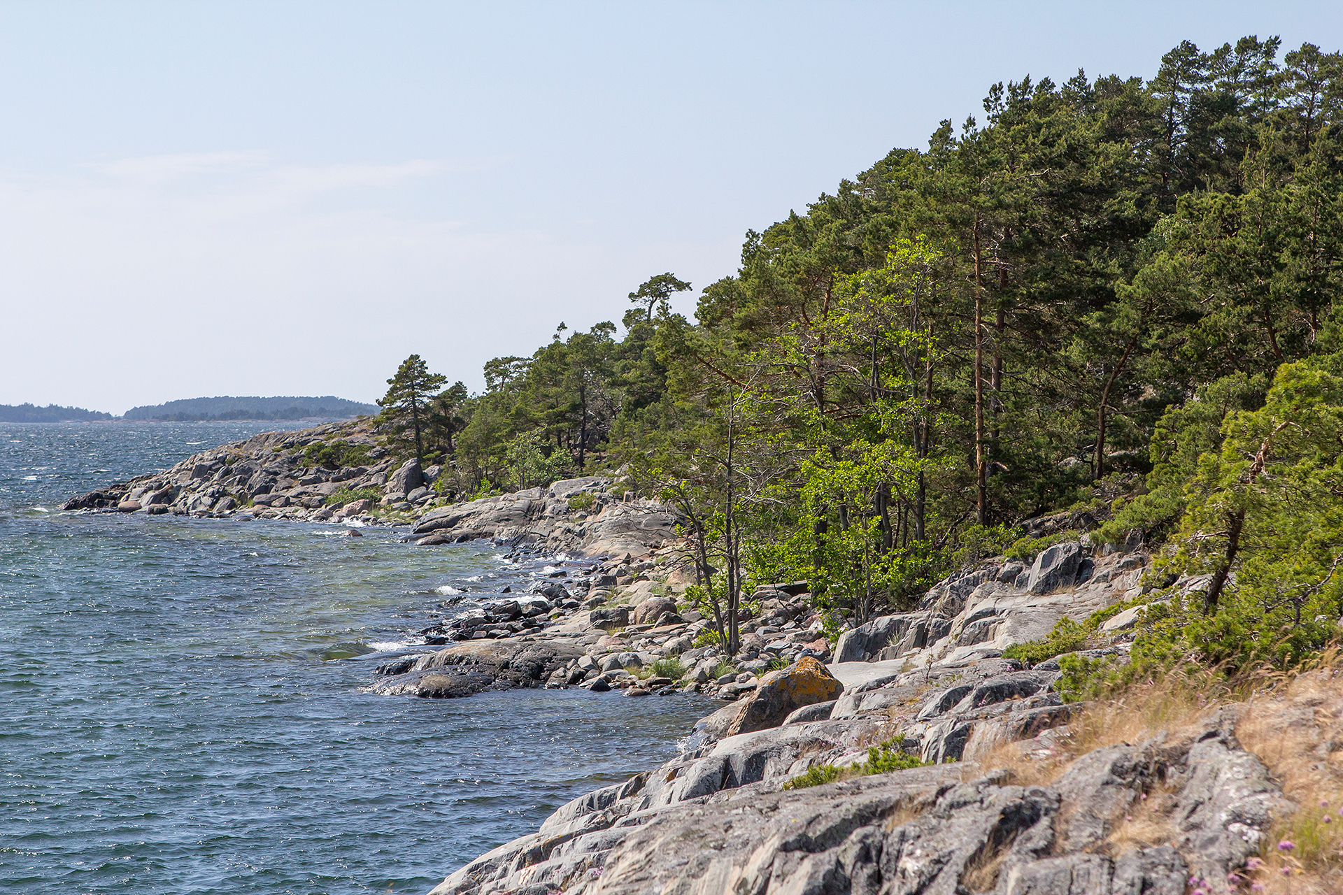 Meren rantakallioita, havupuusto ulottuu lähes rantaan. Taustalla saari.
