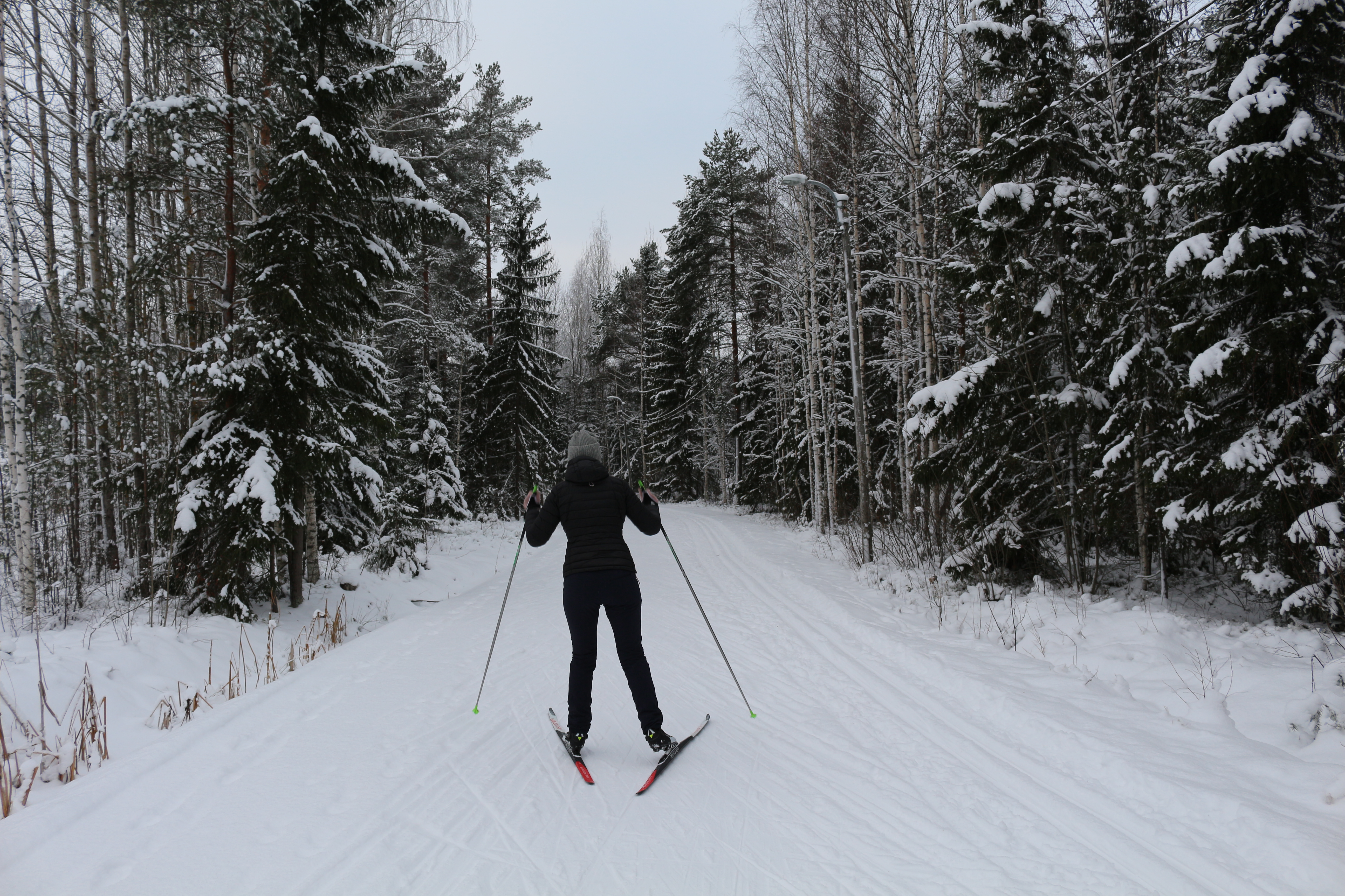 Ulkoilureitillä liikutaan talvella hiihtäen
