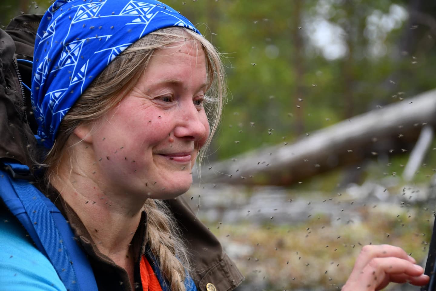 Hundreds of black flies on a hiker’s skin and clothes.