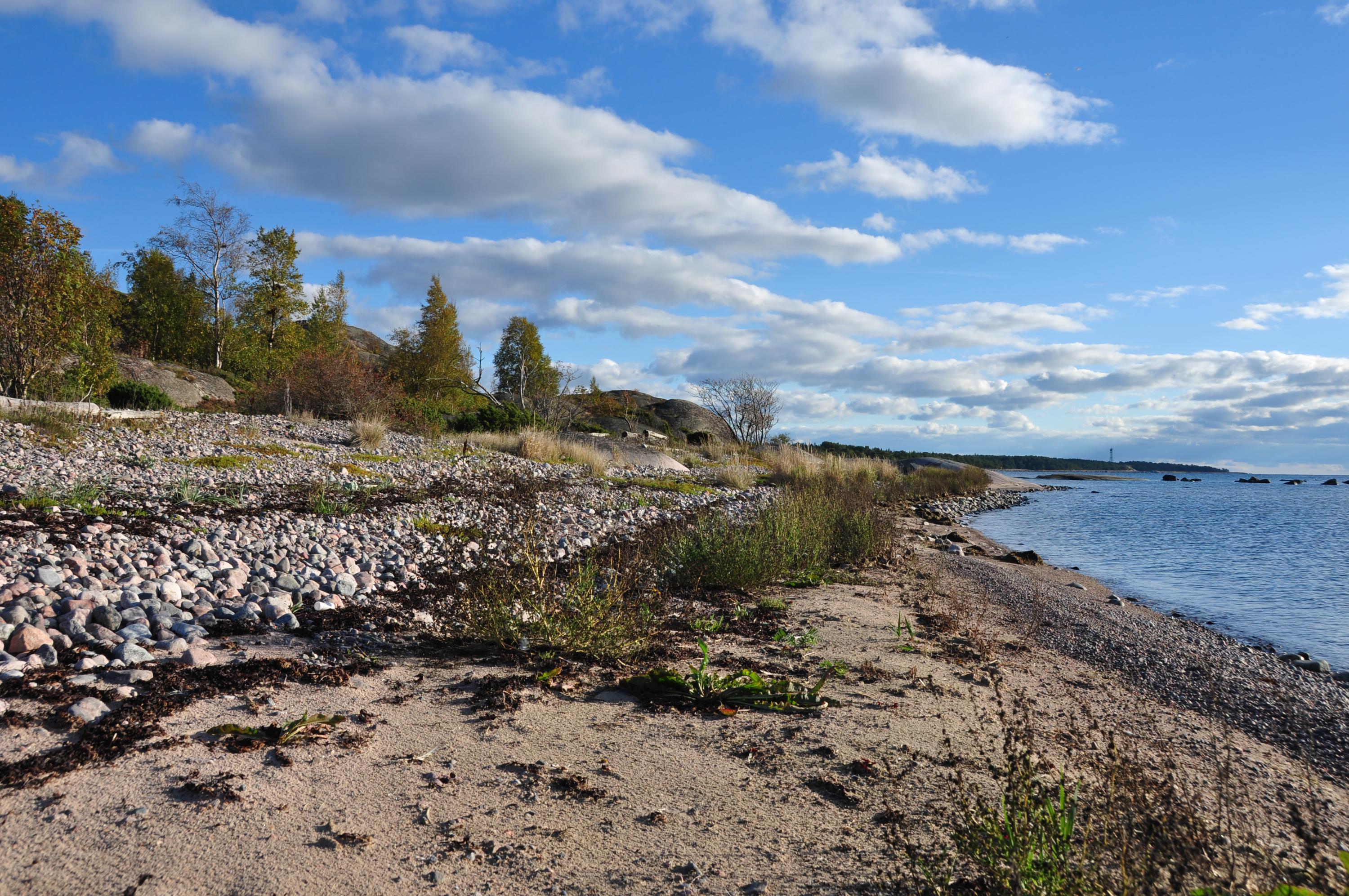 Hiekkaista ja kivistä merenrantaa, taaempana puita ja taivaalla pilviä