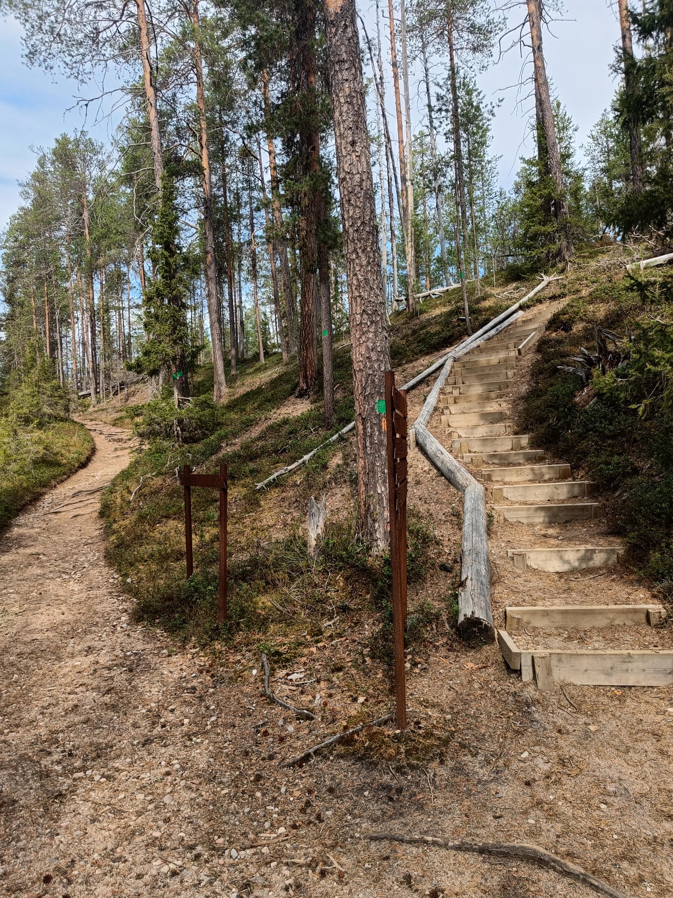 The brown signposts help you stay on the right trail.