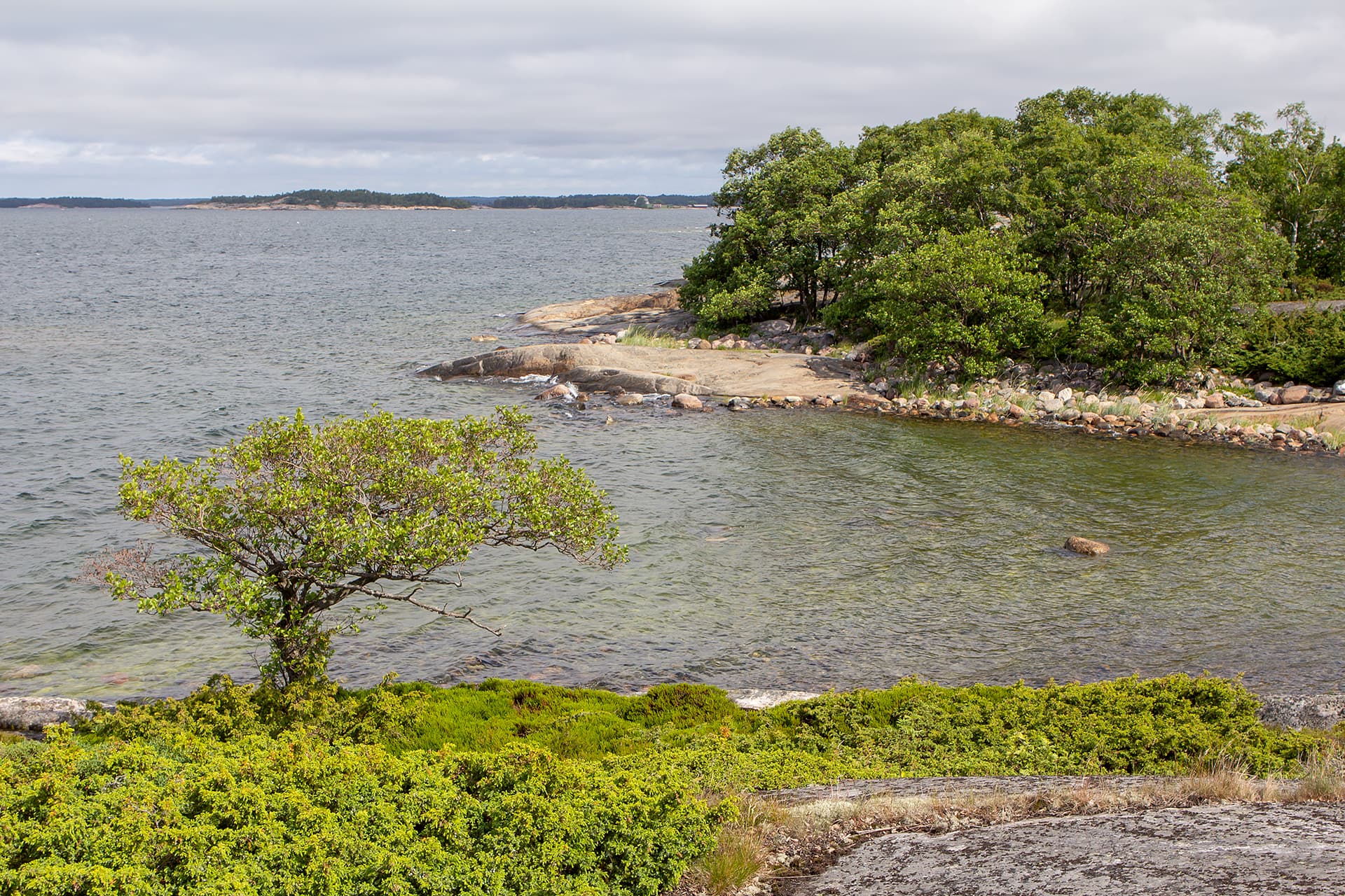 Merenrantaa, jossa kalliota, puita ja matalaa kasvillisuutta. Taustalla merta ja merenrantaa.