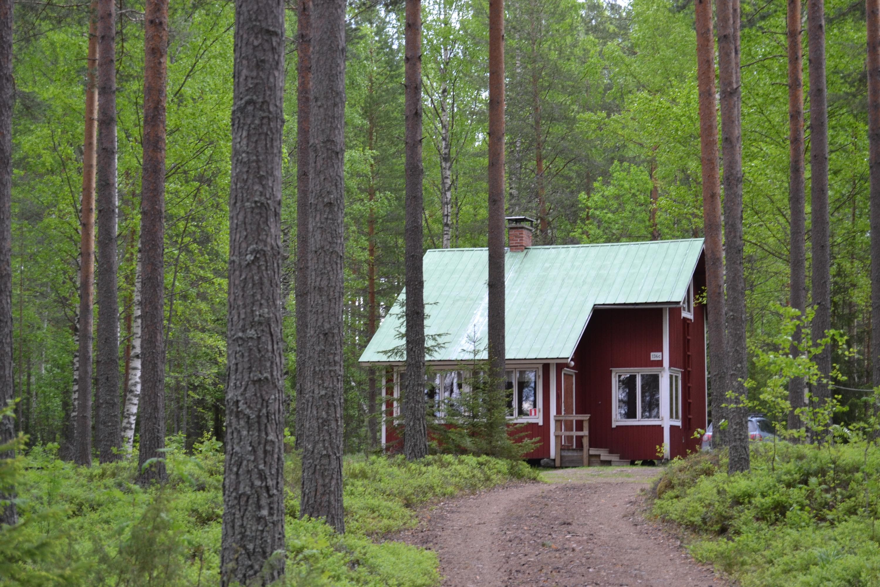 A red house in forest. 