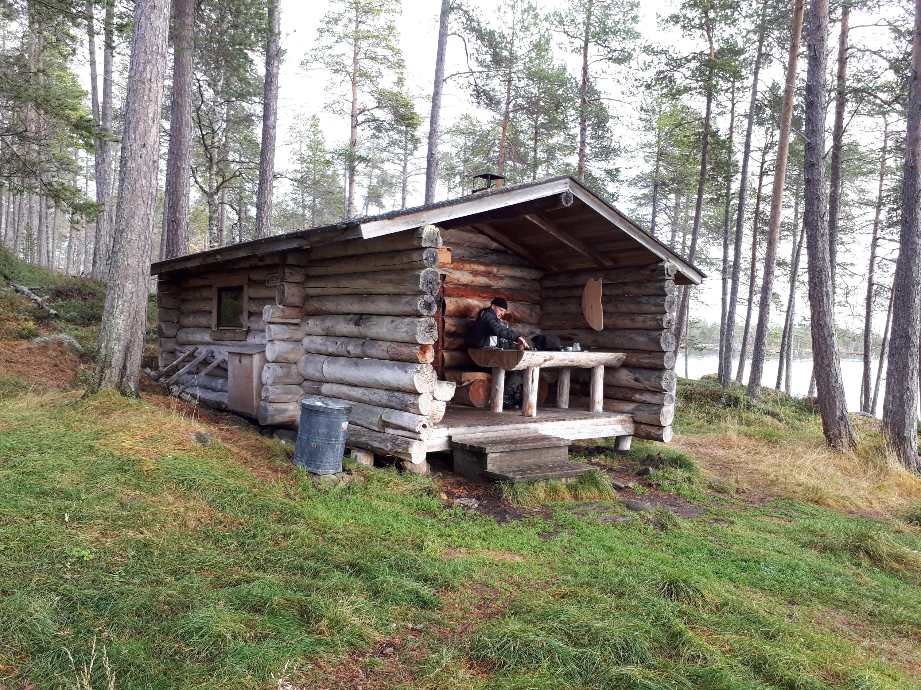 A low log cabin in a pine forest by the lake shore.